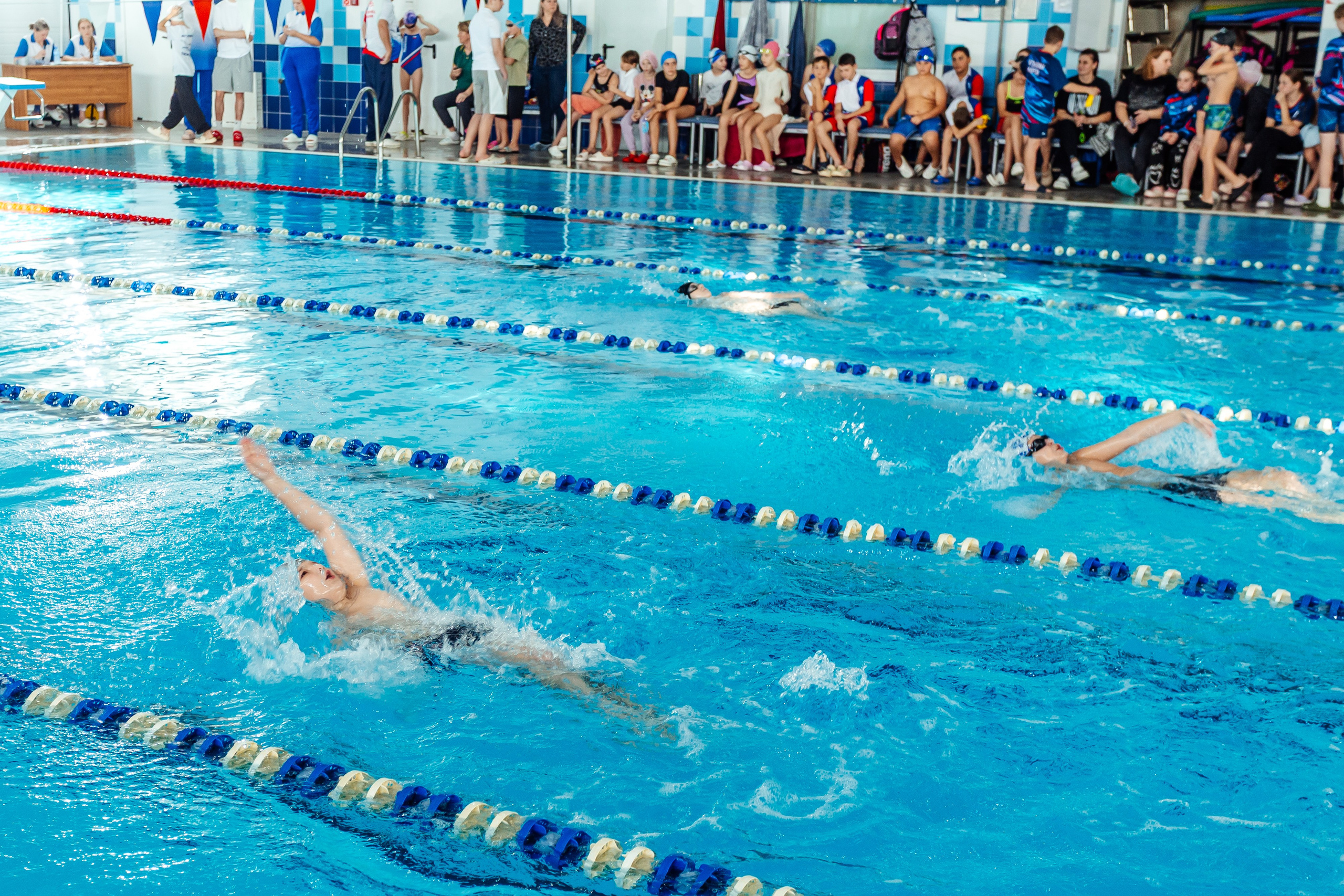 Школа плавания «Виктория». Свадебный фотограф в Краснодаре Николай Крауз