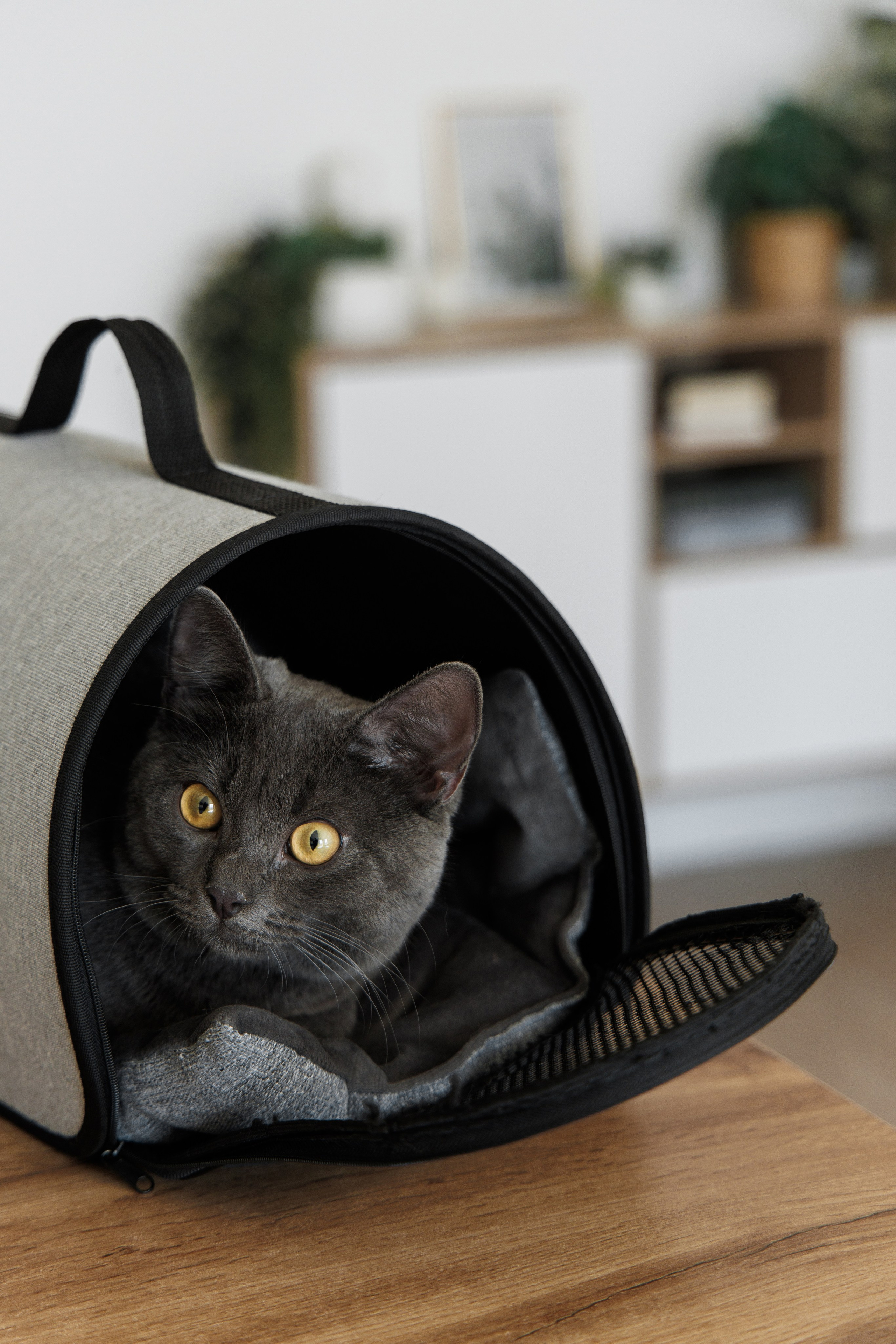 Эдвард и Наталья. Aleksantis