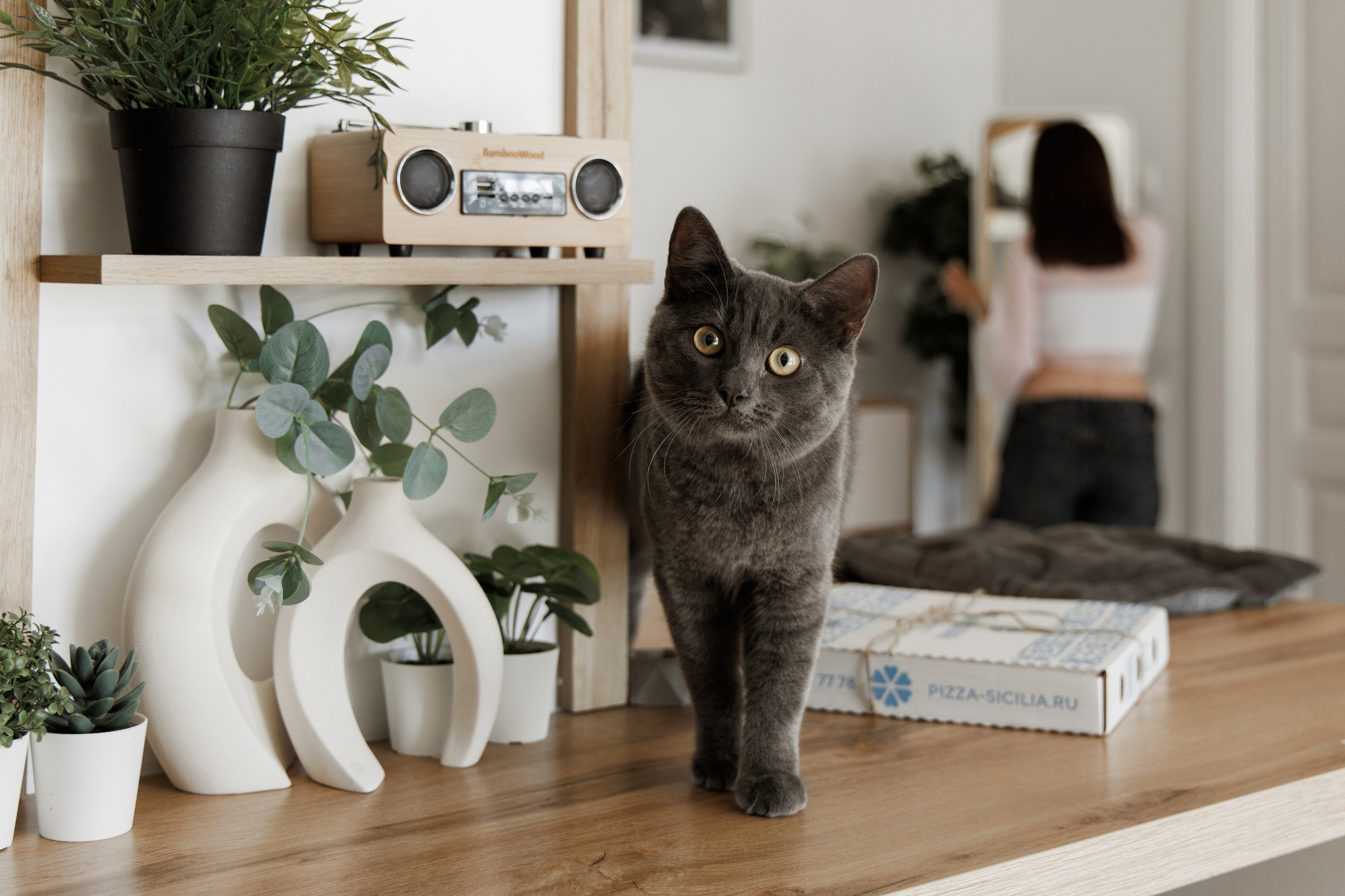 Эдвард и Наталья. Aleksantis