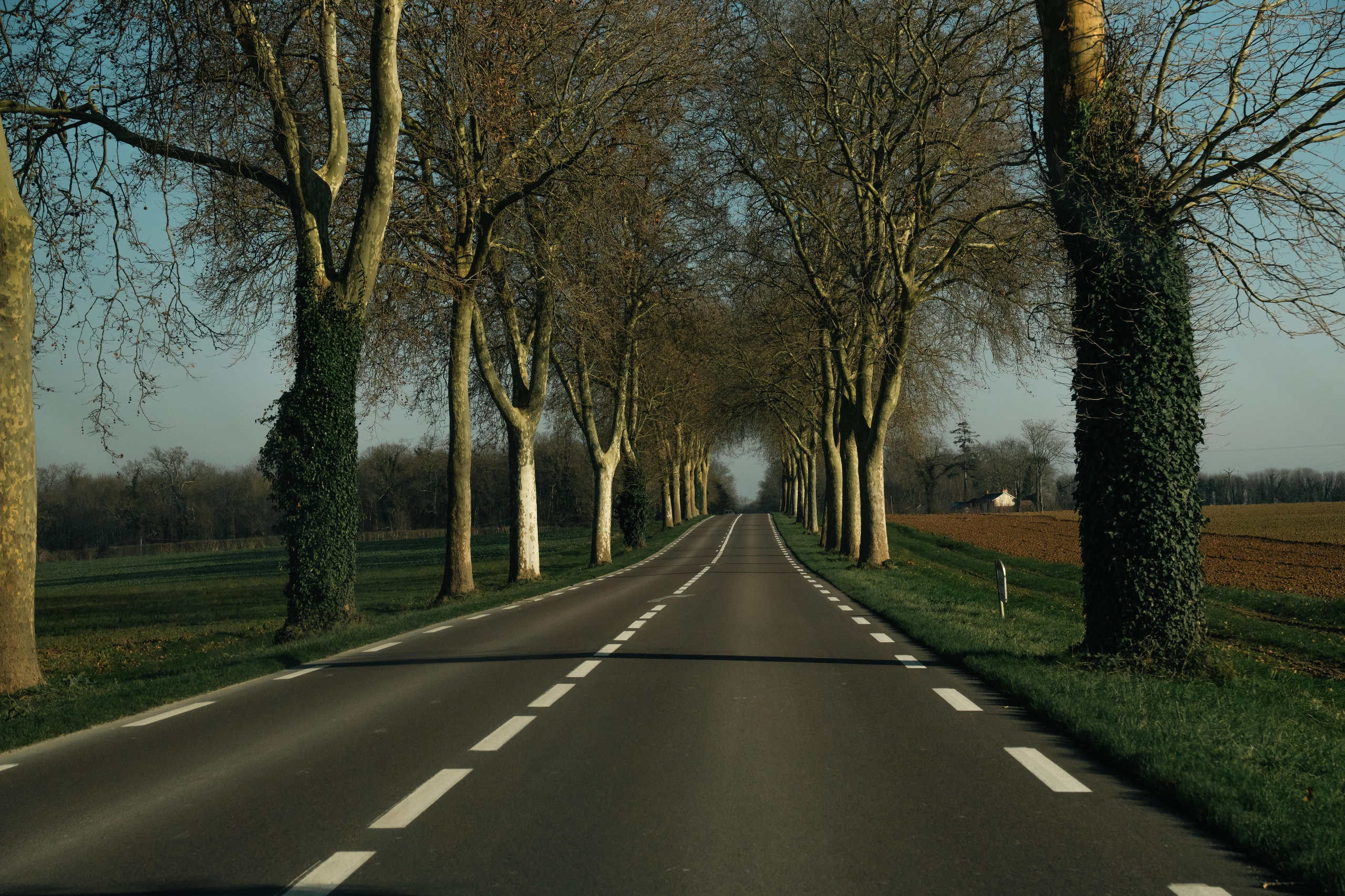 Champagne 2025. Фотограф в Крыму Алевтина Швец