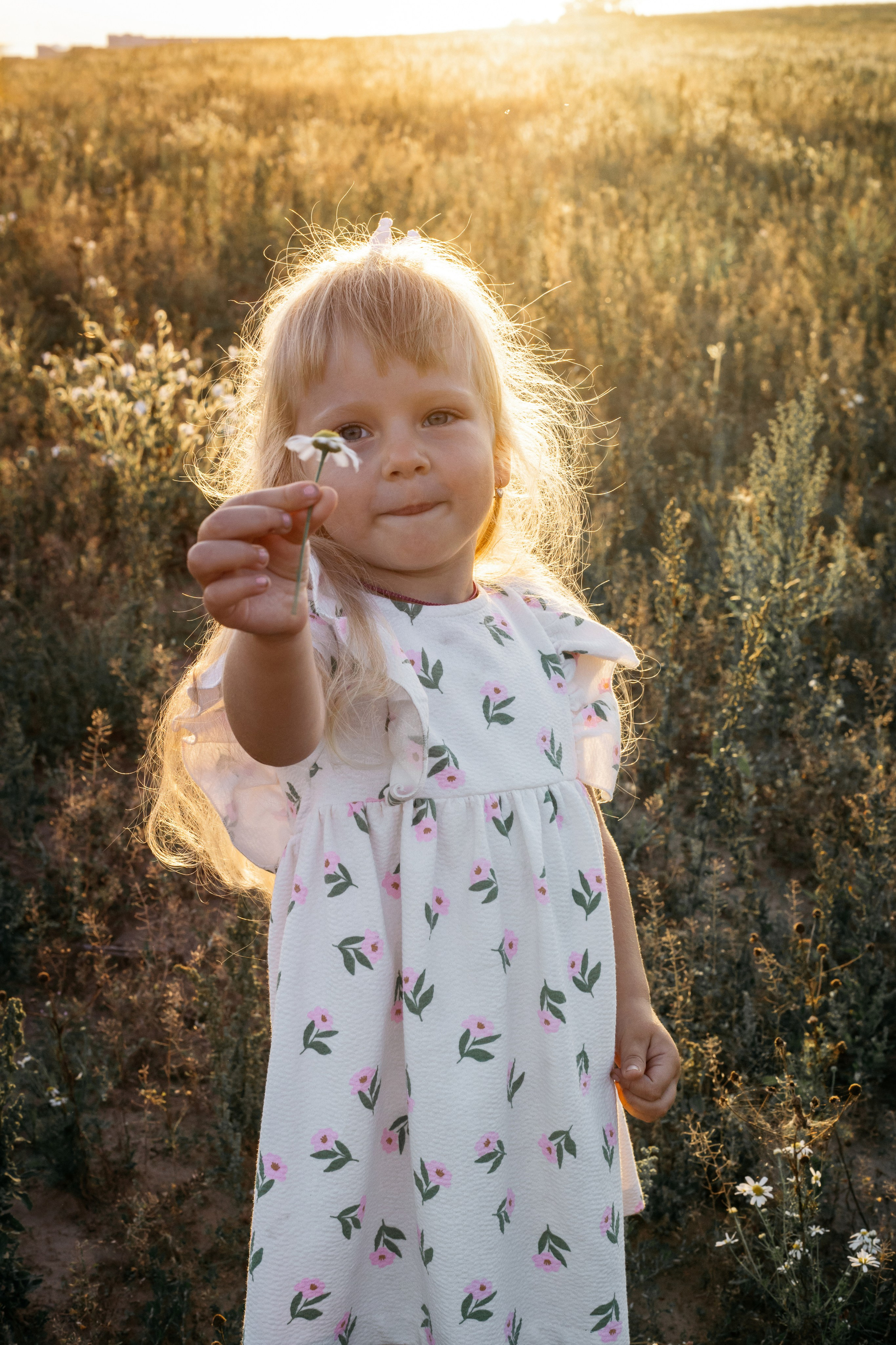 Закат. Свадебный, семейный фотограф Беларусь