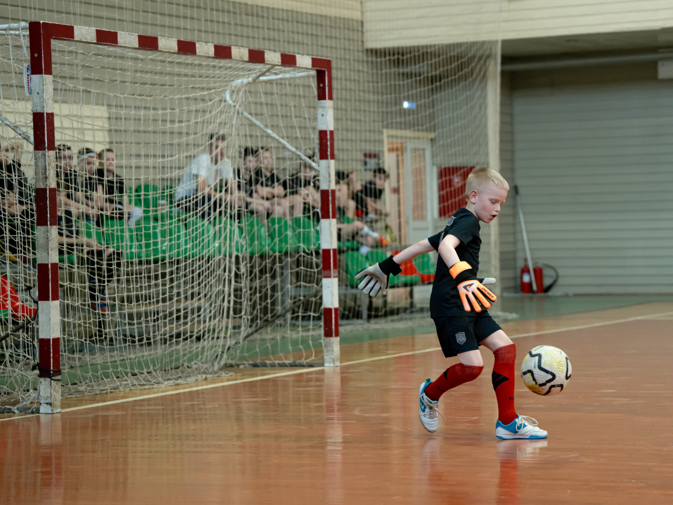 Тики-Така Противостояние 2025. Крамер Юлиана детский и семейный фотограф