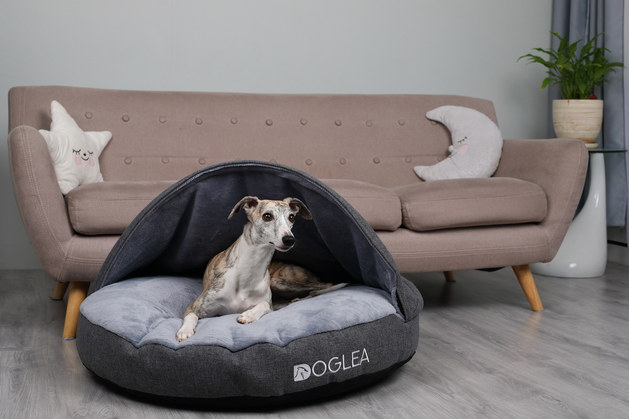 Для брендов. Фотограф- анималист Санкт-Петербург