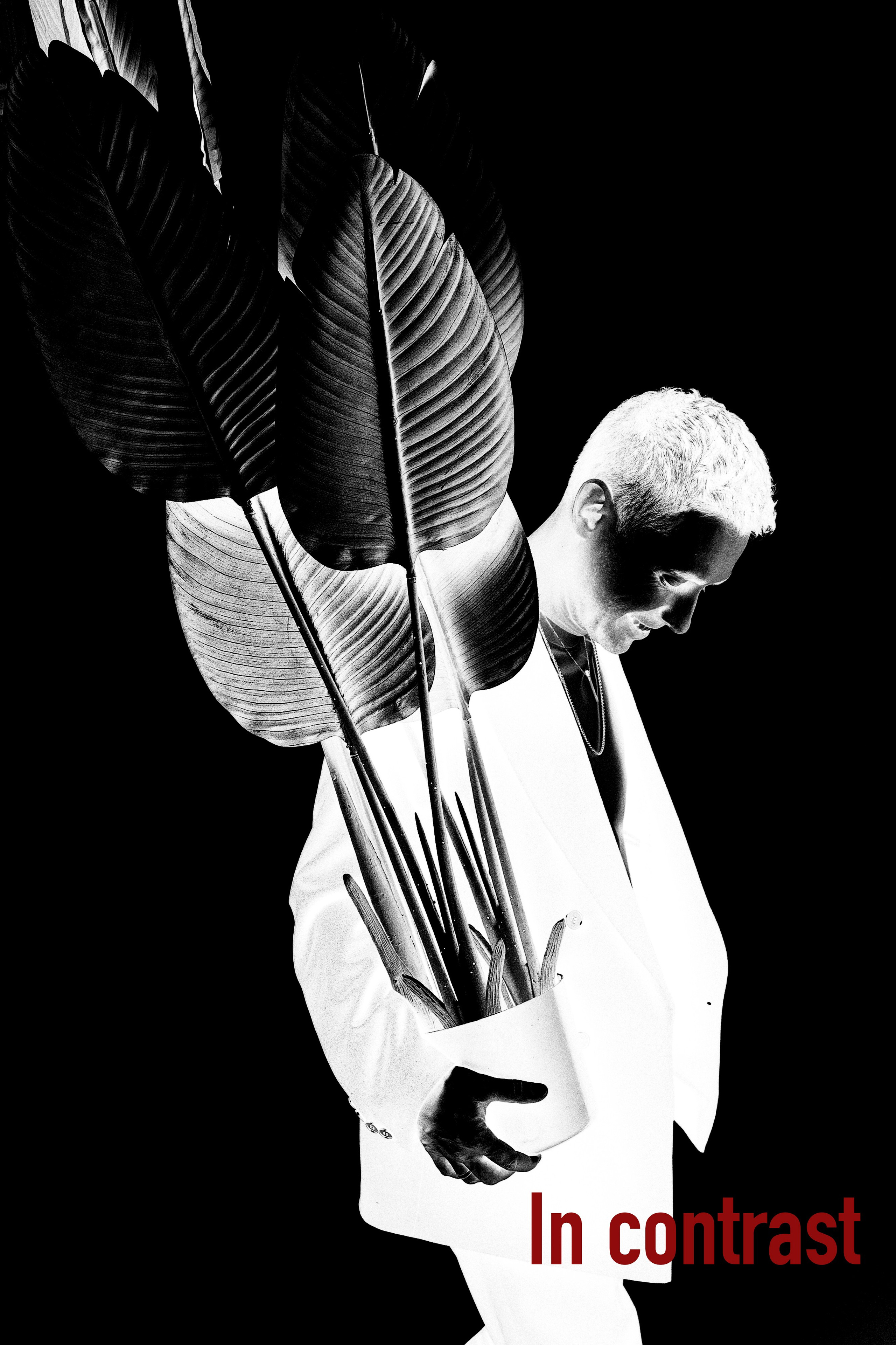 In contrast. Свадебный фотограф Колесников Антон