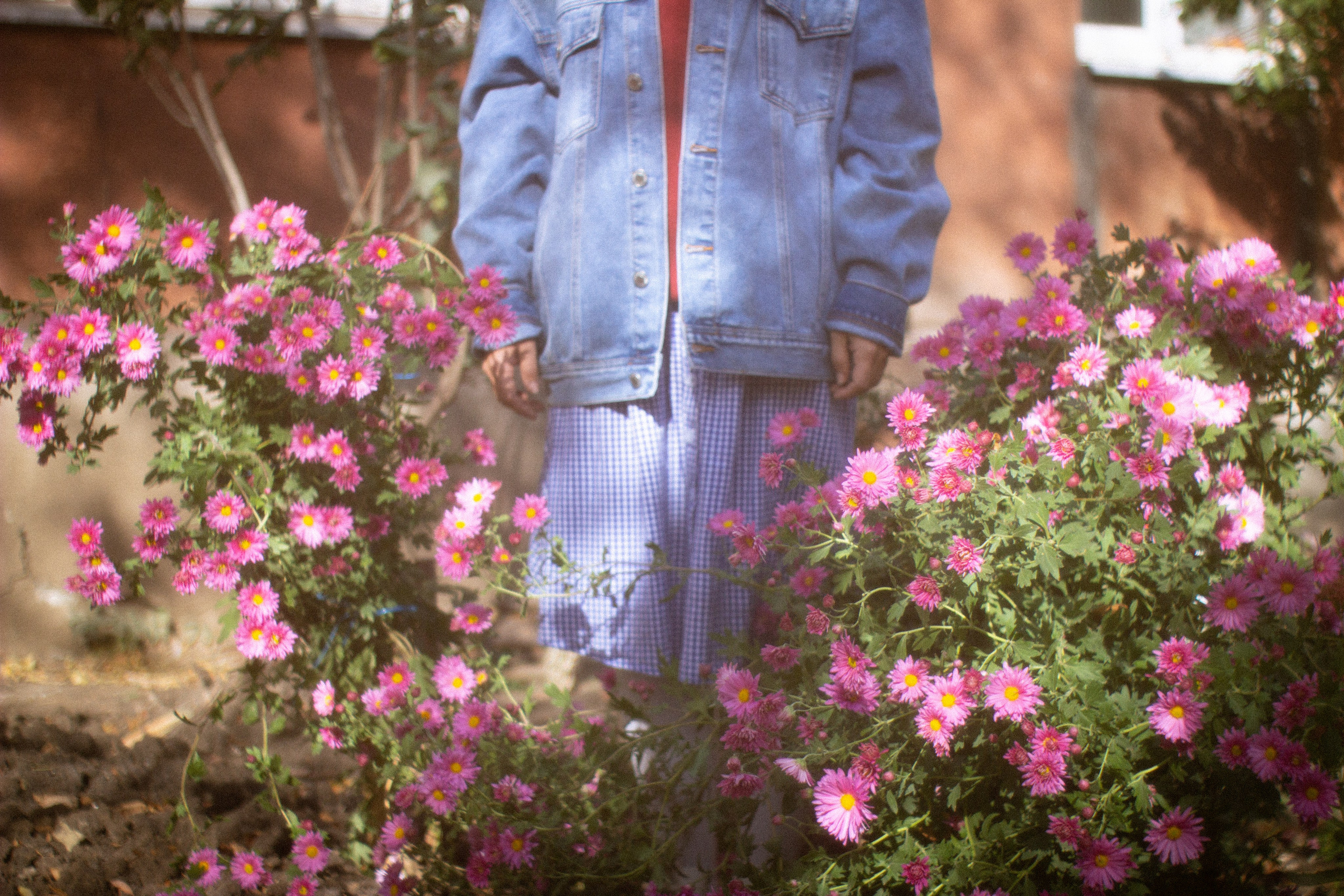 • Фотограф Александра Светозар Алчевск •