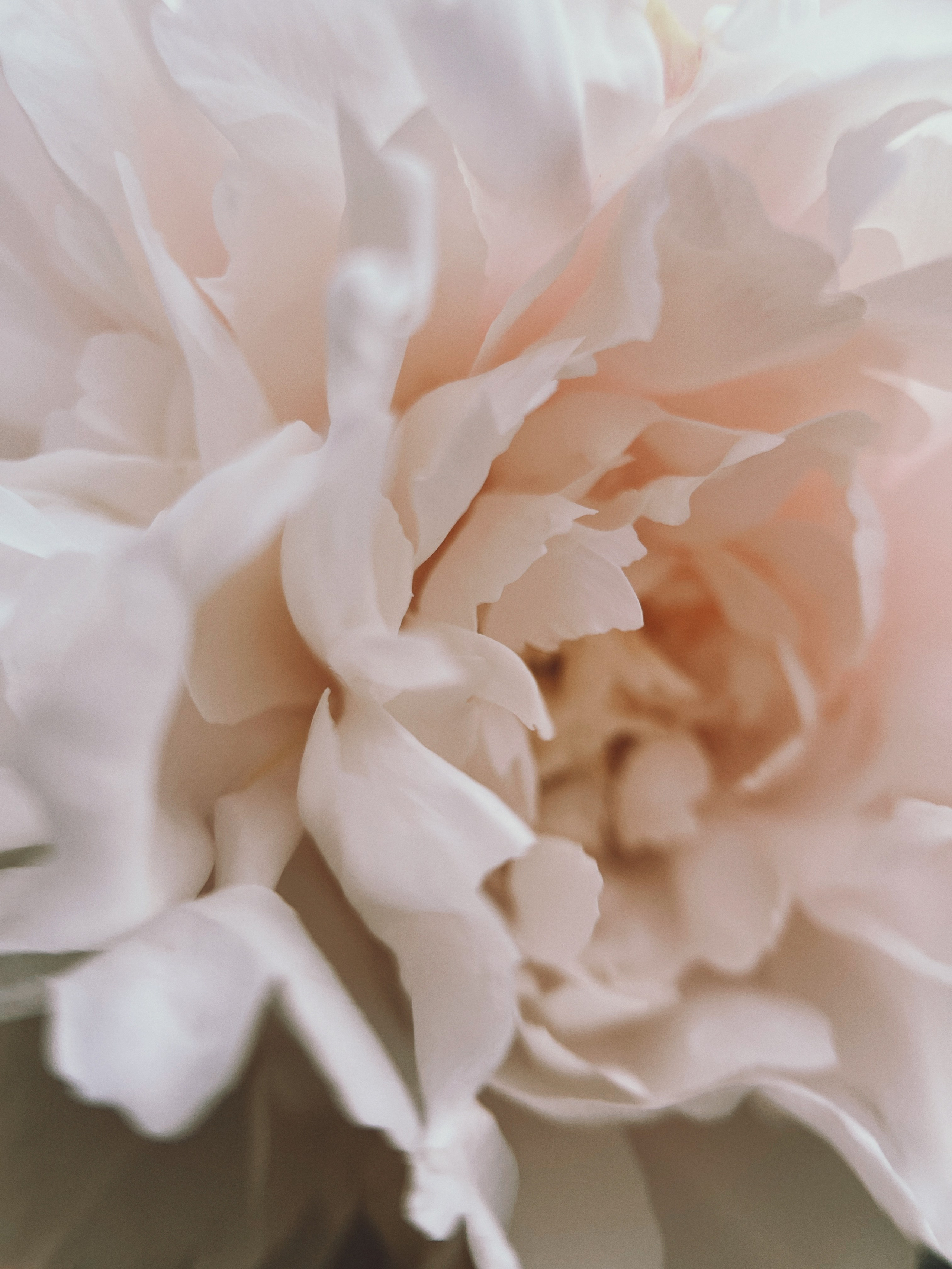 Flower song. Юля Ф