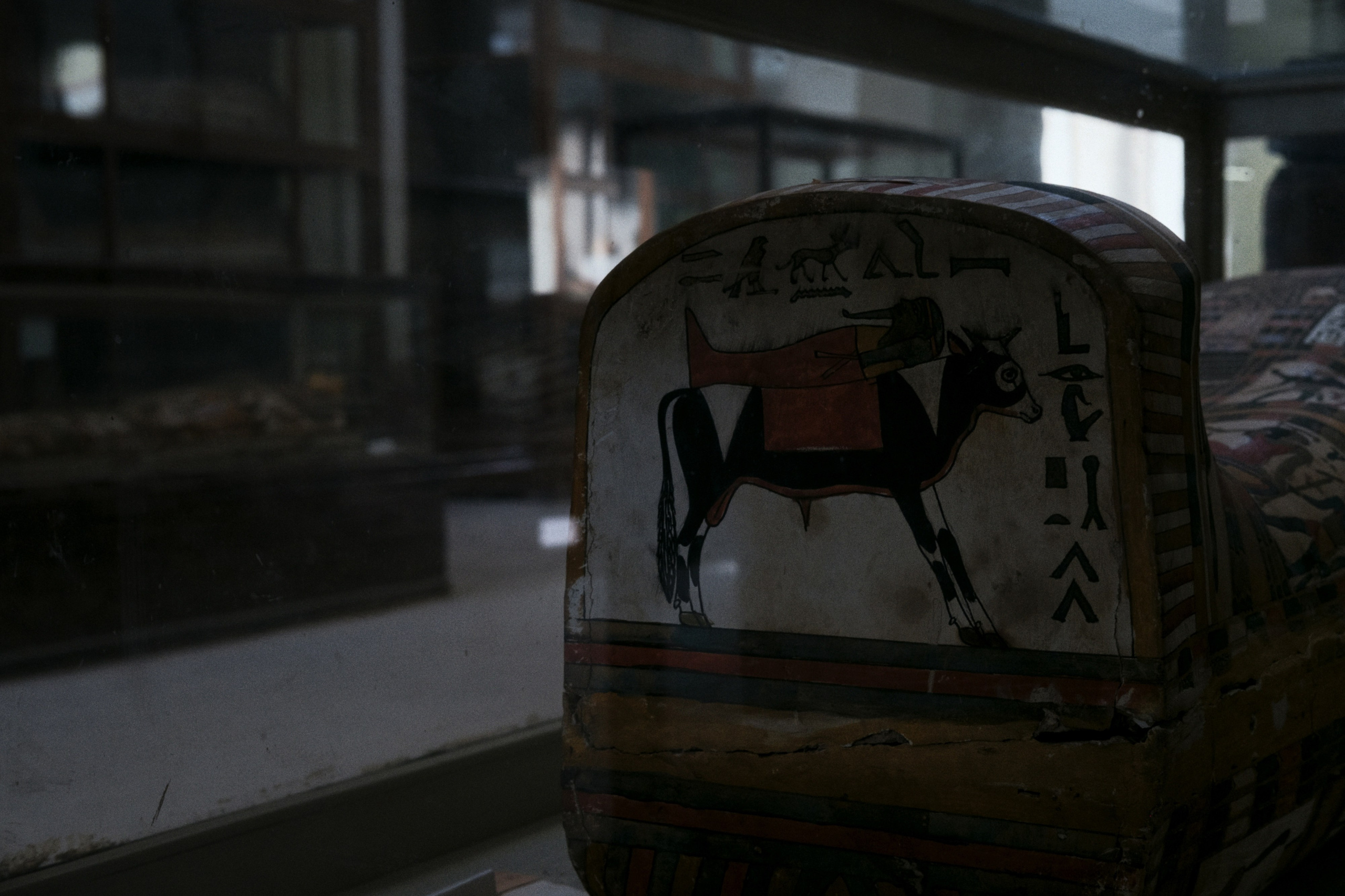 Archaeological Museum / Cairo, Egypt AW25. Фотограф Юрин Евгений