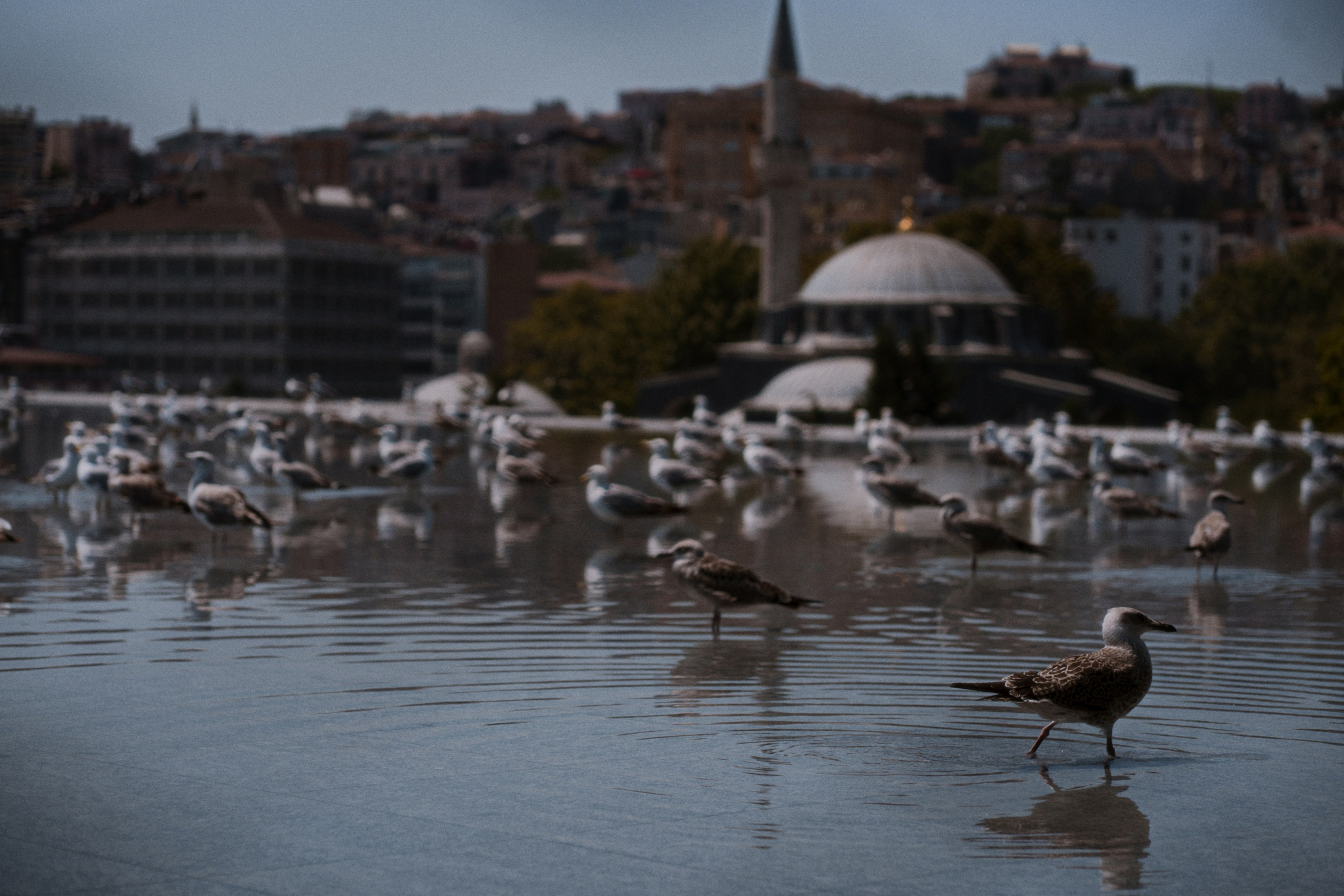 Istanbul Modern. Фотограф Юрин Евгений