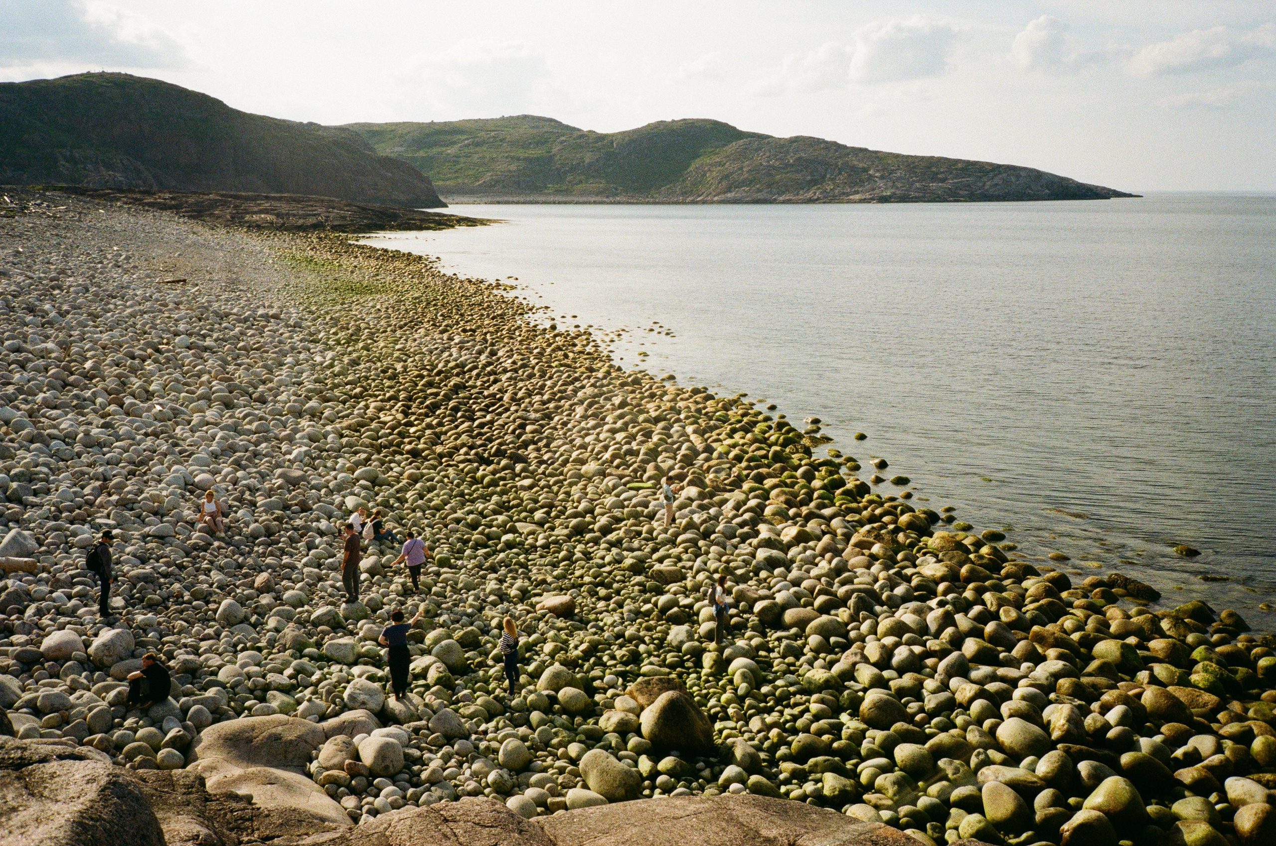 Снято на пленку. Семейный LIFESTYLE фотограф в Москве