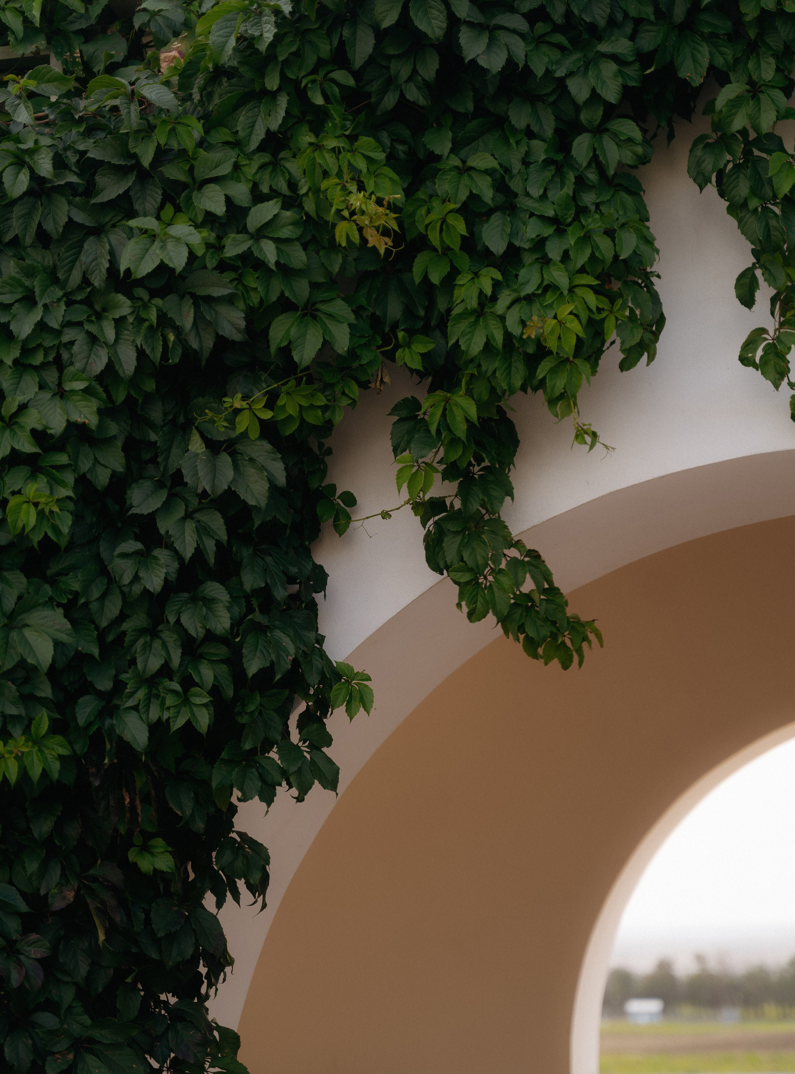 Василий & Кристина. Свадебный и семейный фотограф в Краснодаре Павел Мельников