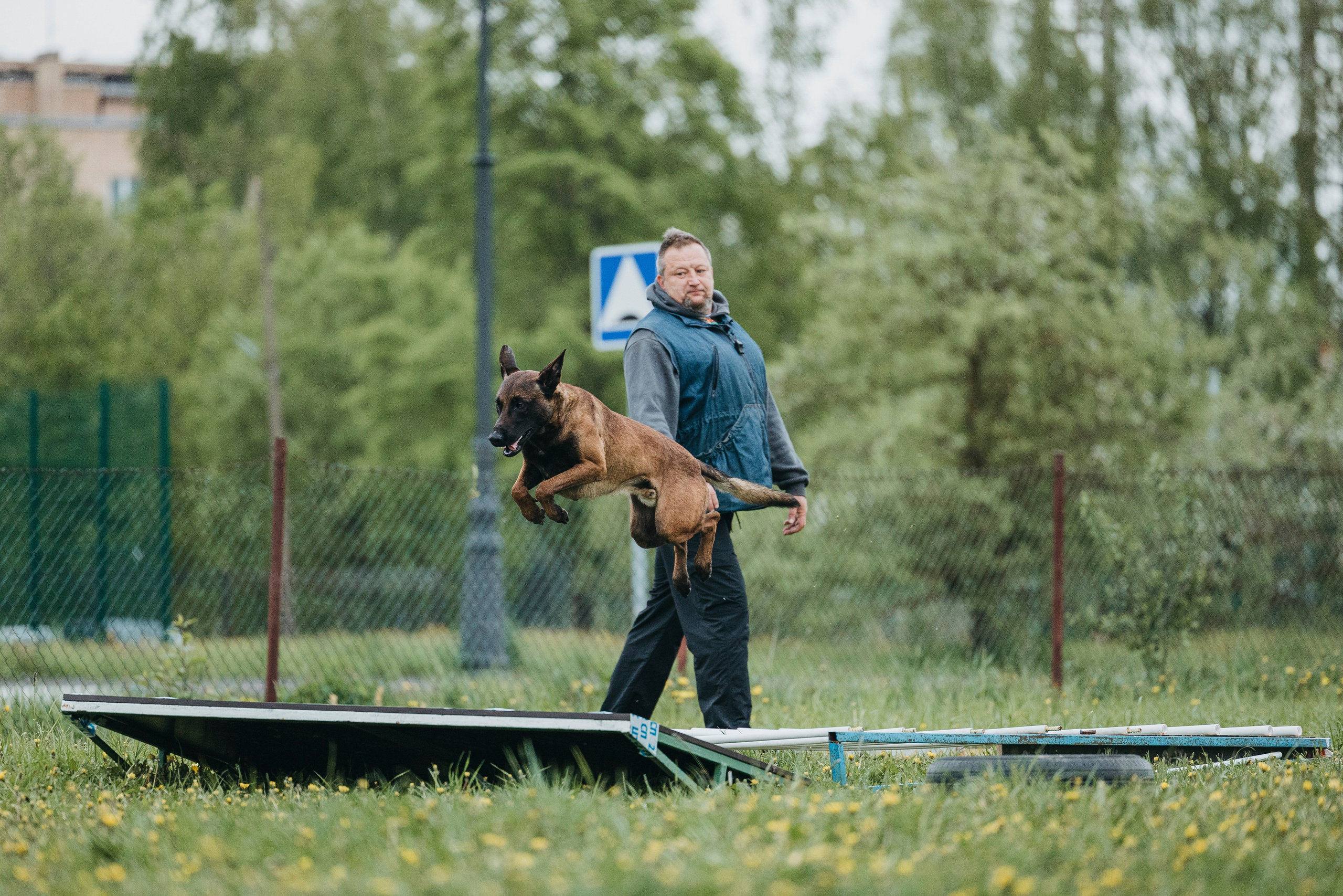 26.05.25 г. Пушкин квалификационные соревнования. Фотограф-анималист Анна Маринич