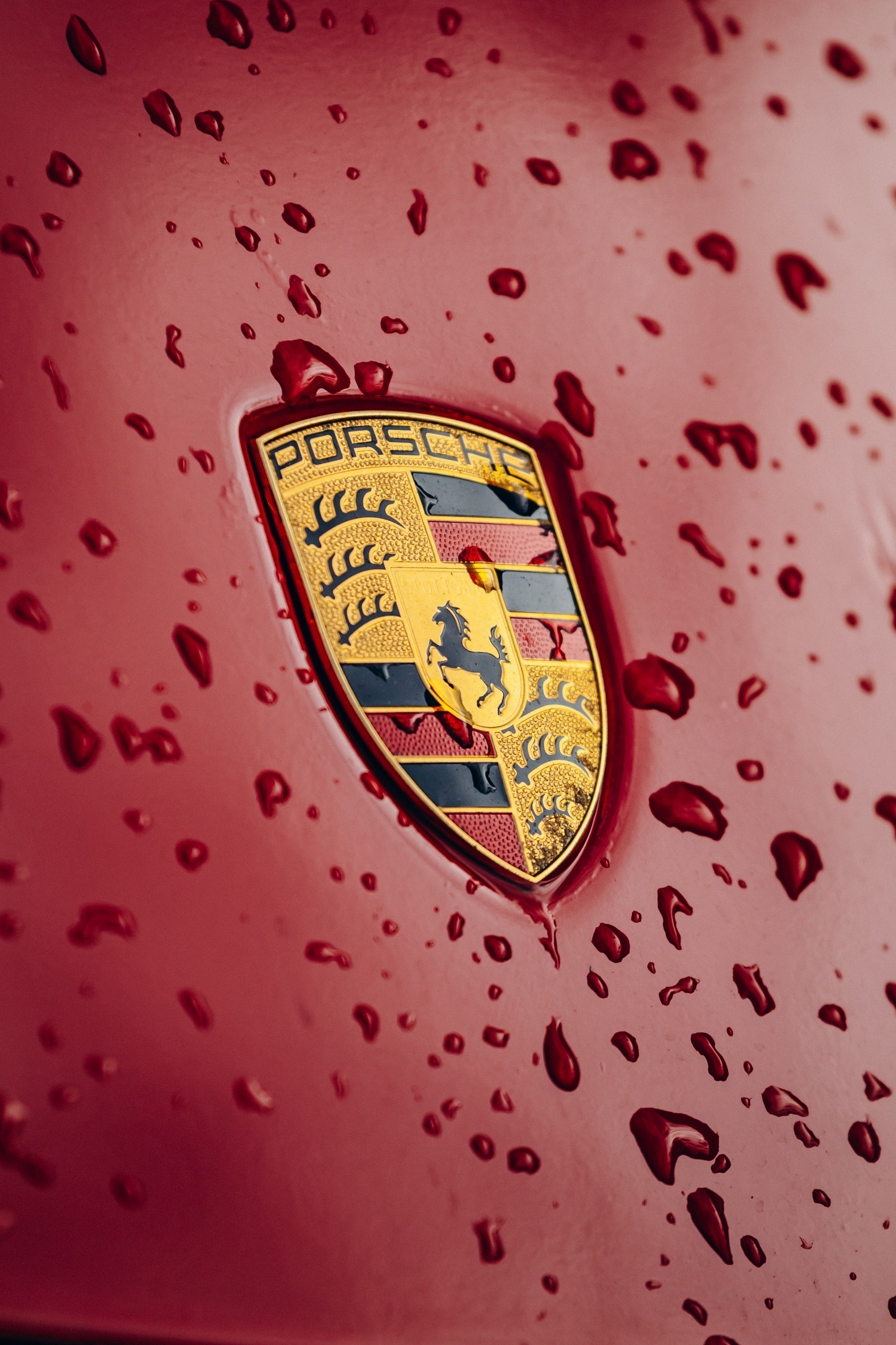 Автомобильный спорт. FOTOZ Studio / Фотовидеомейкер Андрей Смирнов