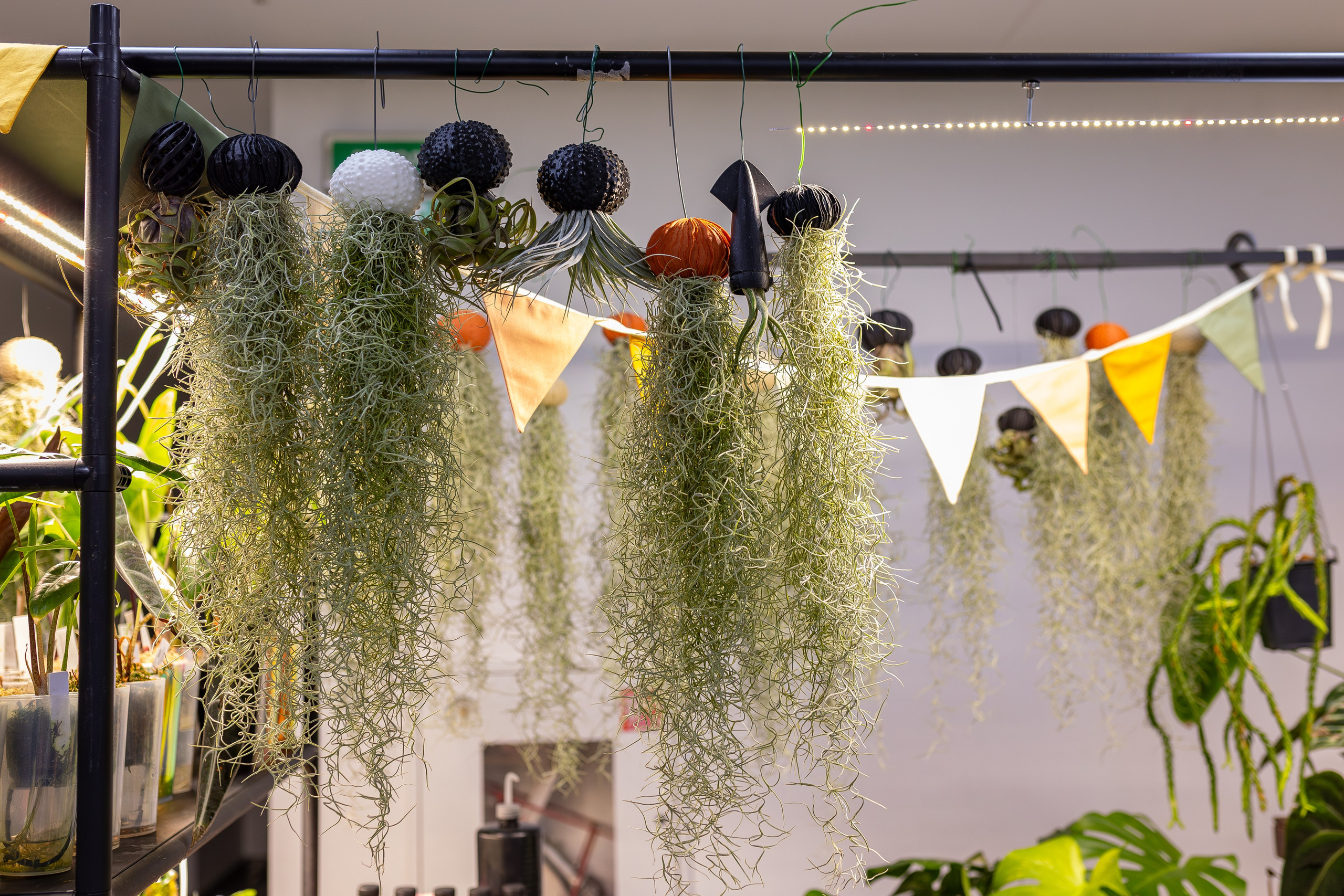 Монстериум апрель 2026. Александра Куликова фотограф, Москва