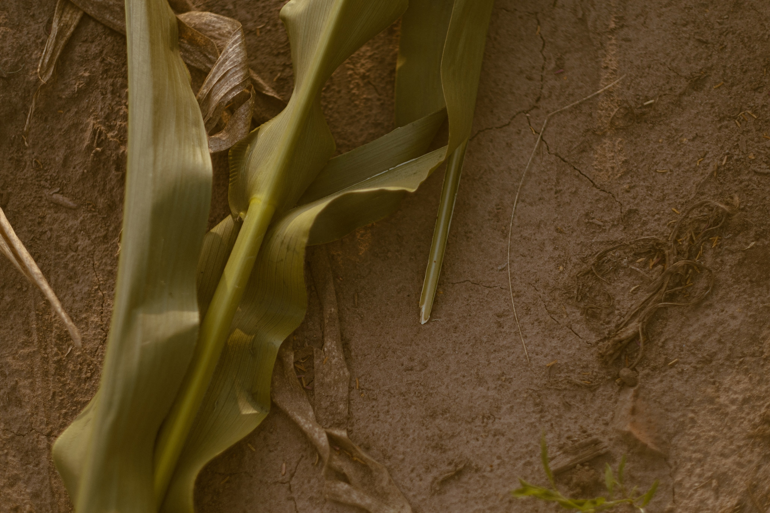 Портфолио. Фотограф Надежда Никитина