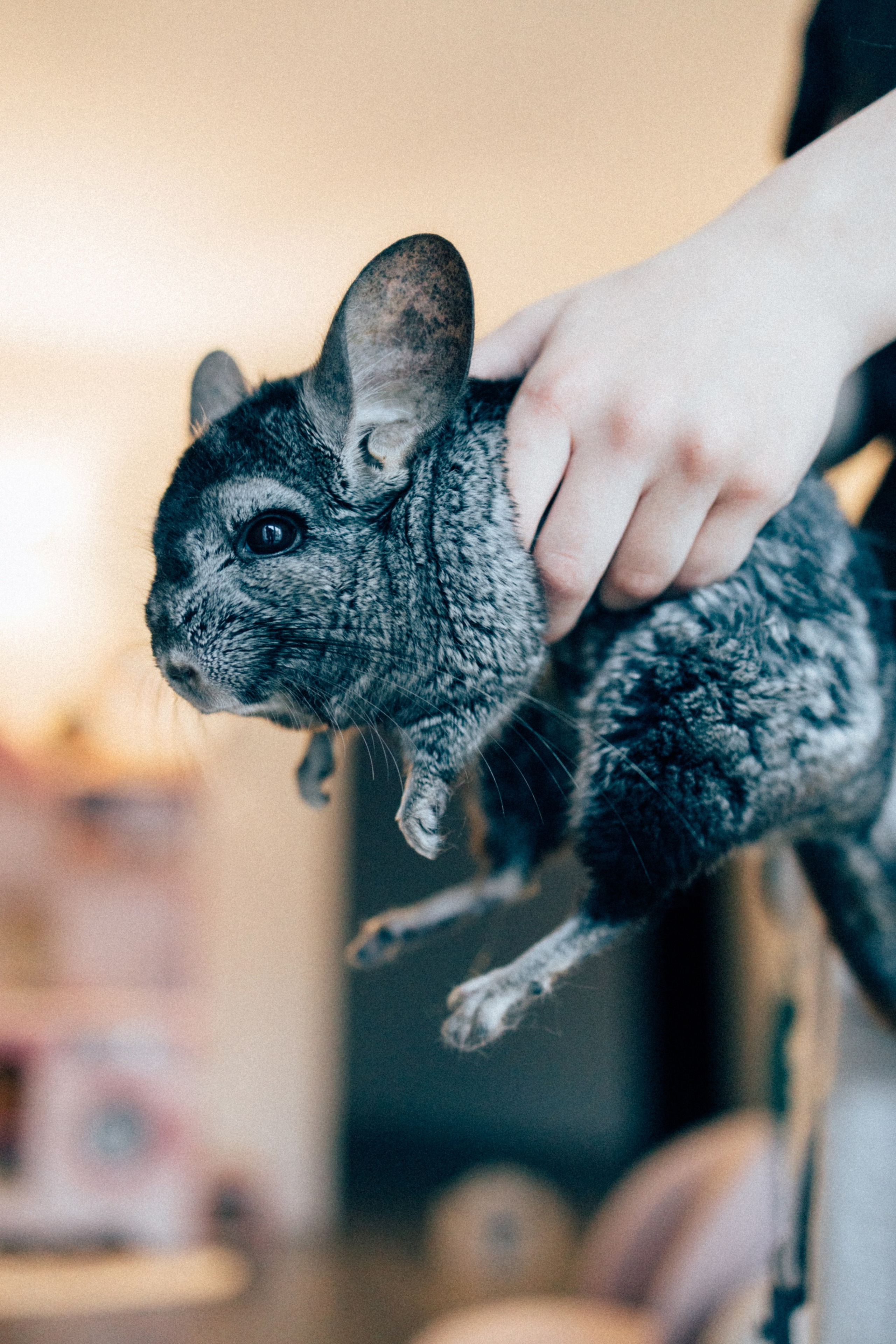 Lifstyle Фролкины. Семейный, женский и детский фотограф Татьяна Колобаева