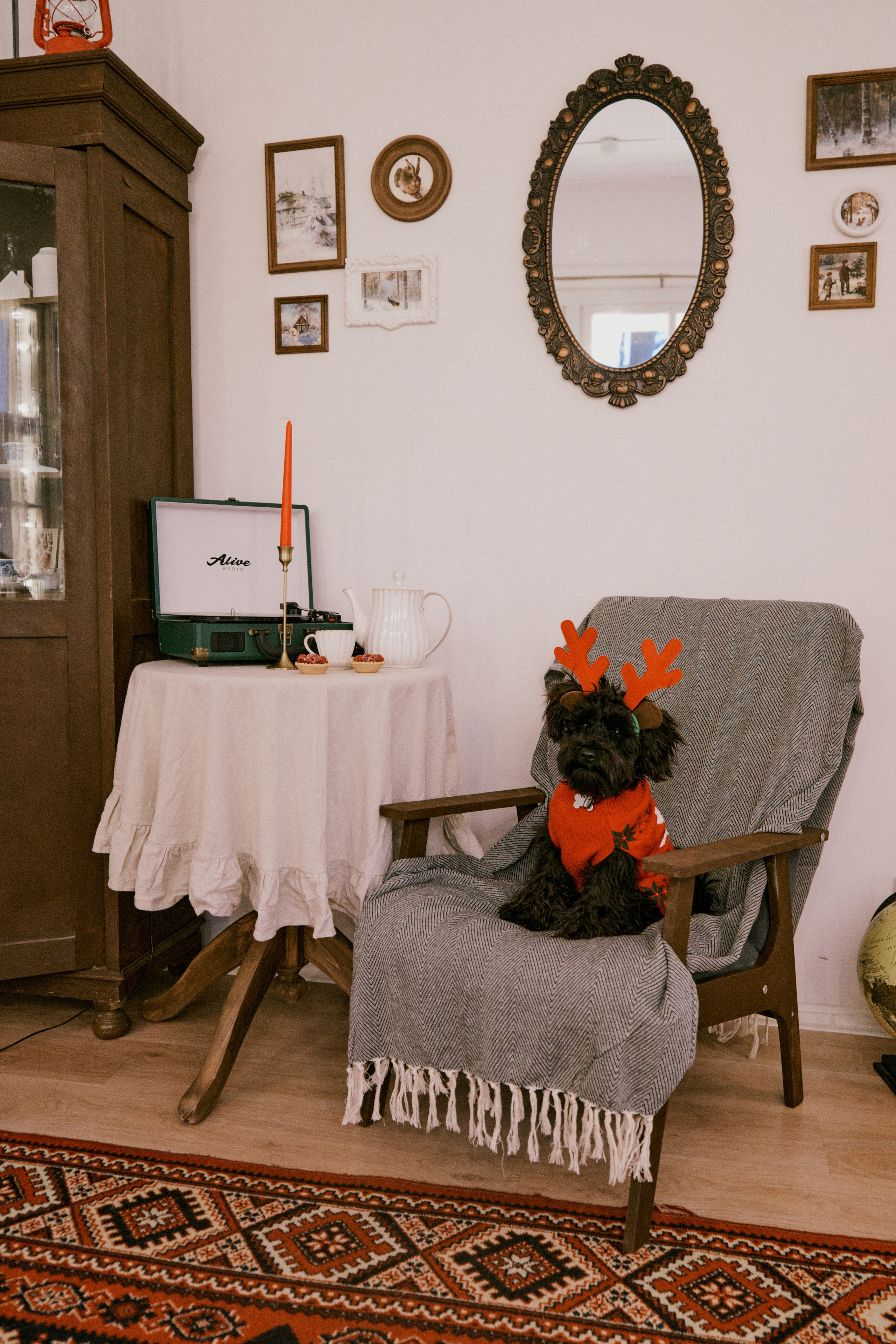 Хвостатый фотодень. Фотограф / Санкт-Петербург / Галина Никонова