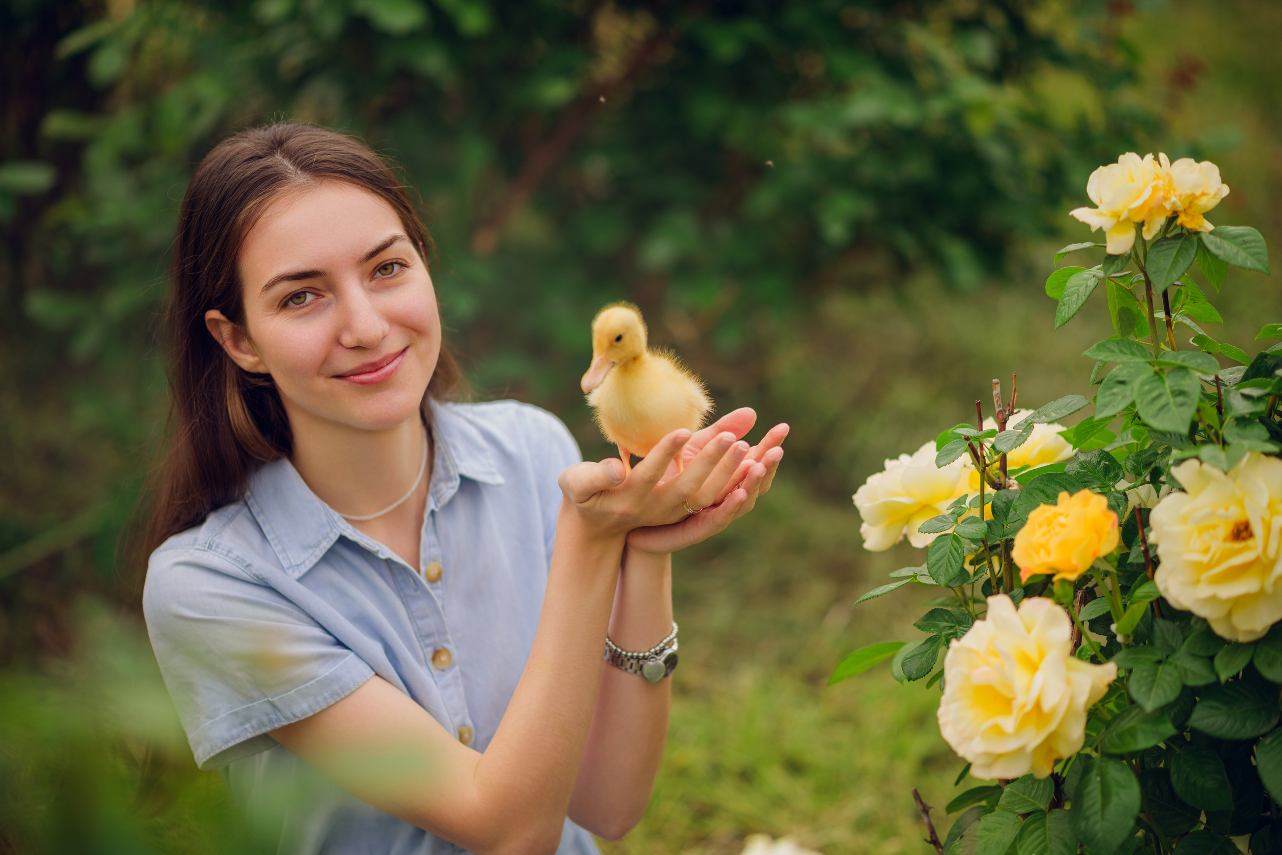 В розах. Семейный фотограф в Краснодаре
