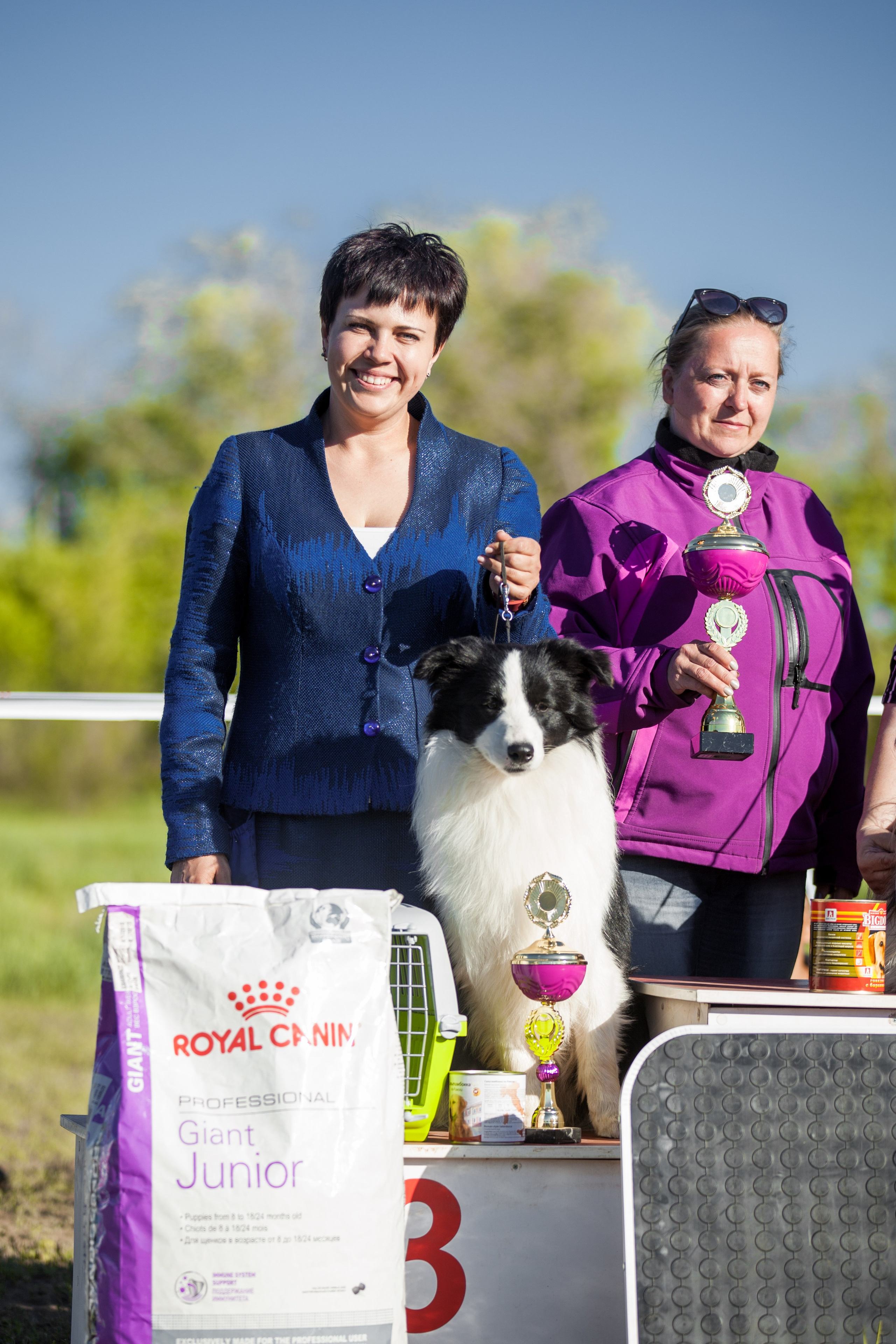 Орск 19. О нас