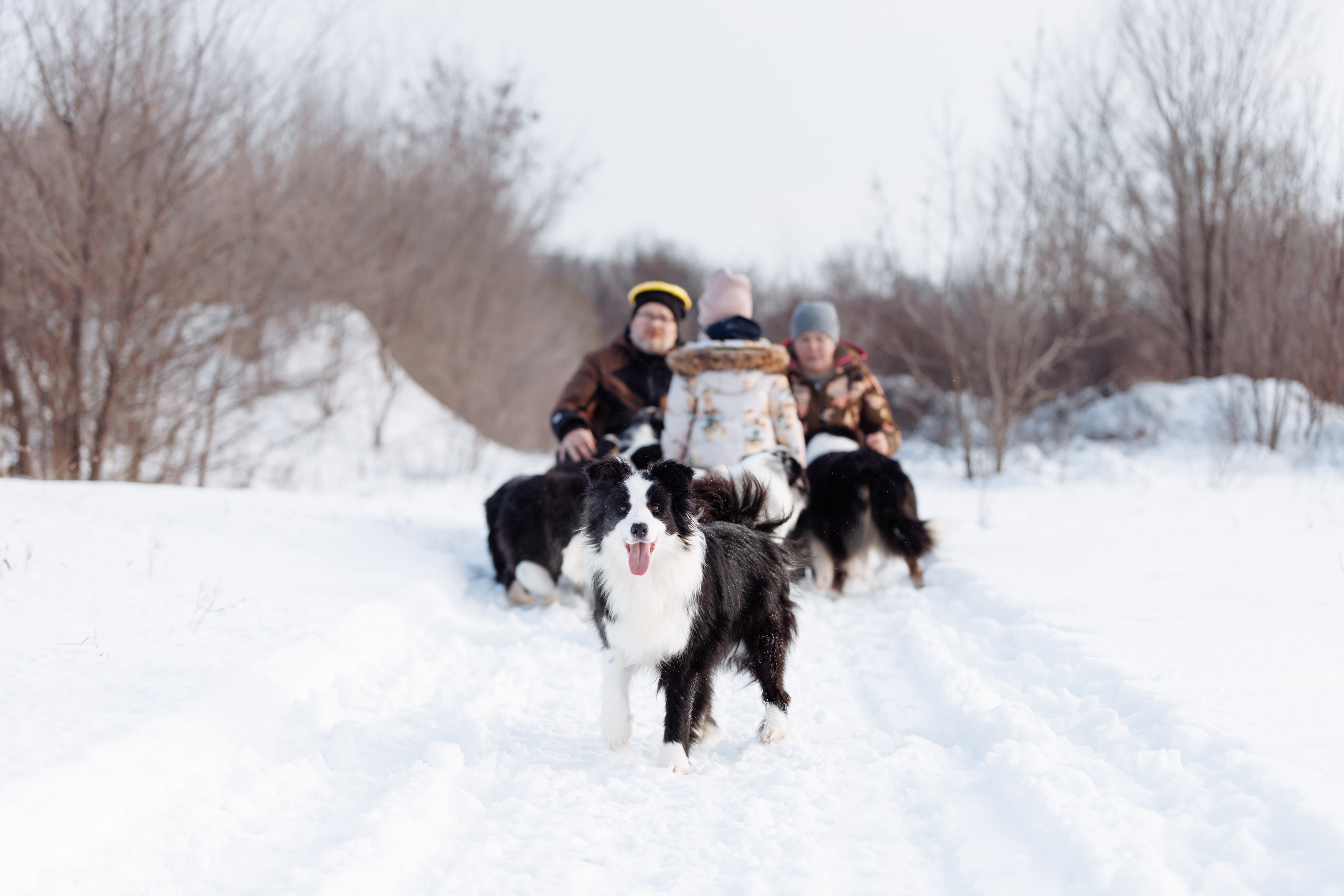 Яркий январь. О нас