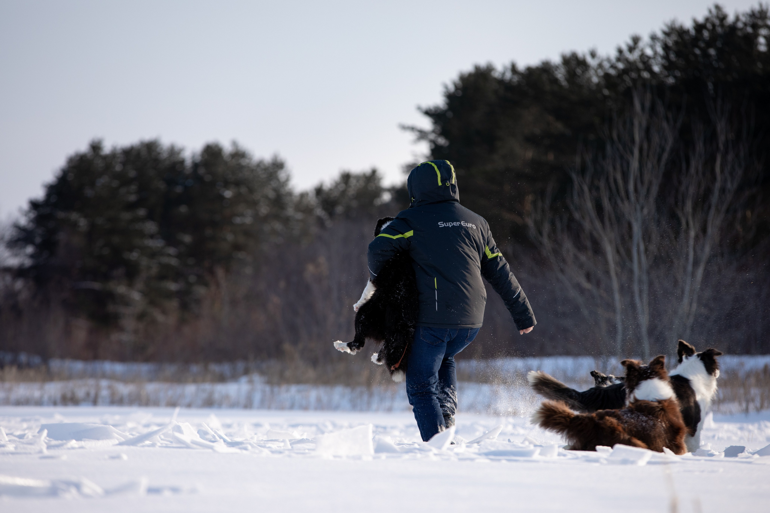Мороз и солнце. О нас