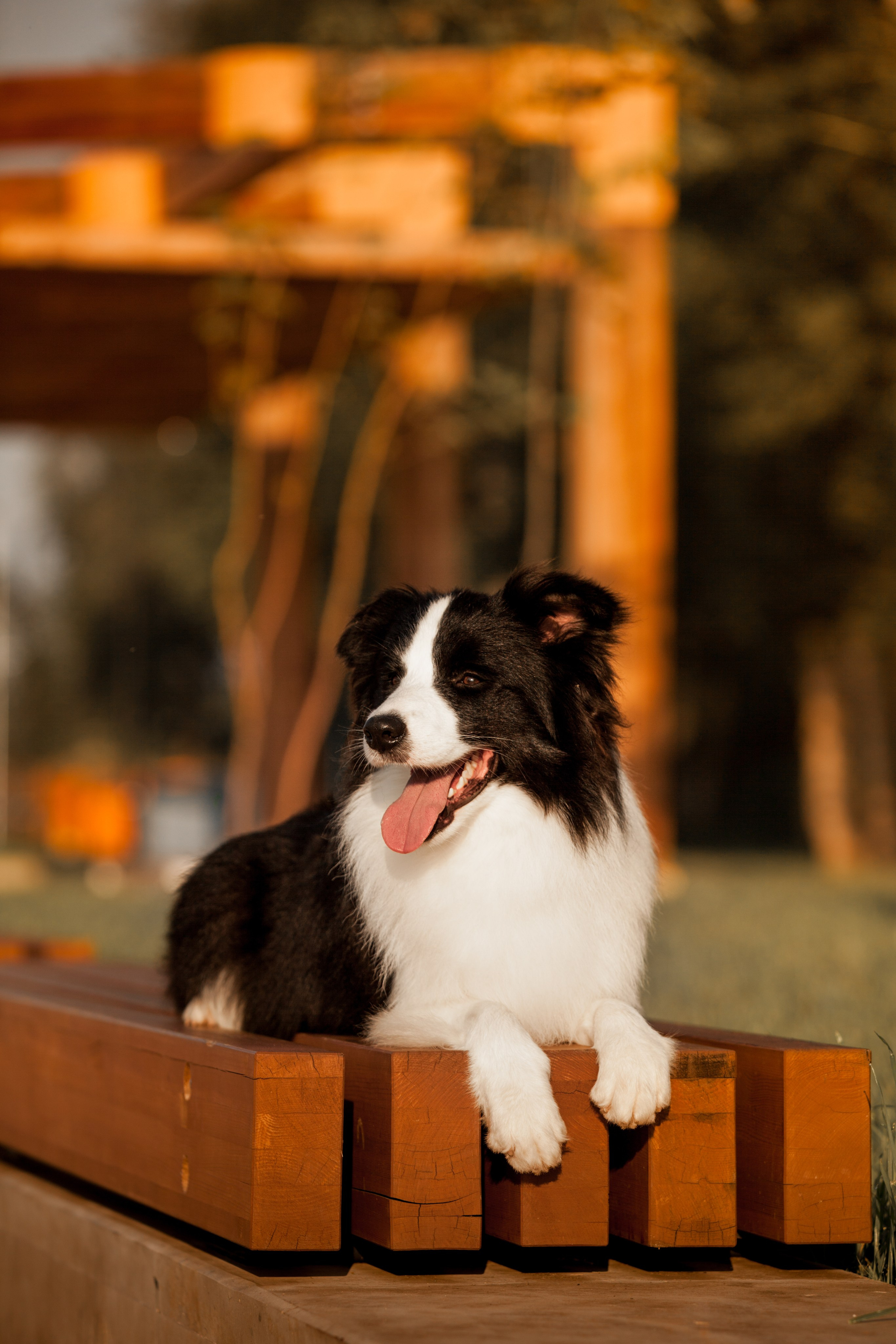 Сочный рассвет, на который решились. О нас