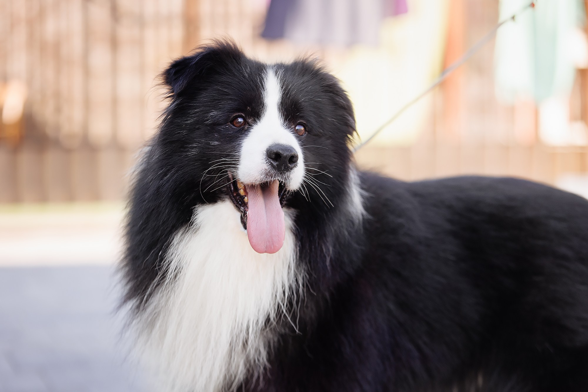 Трава у дома. О нас