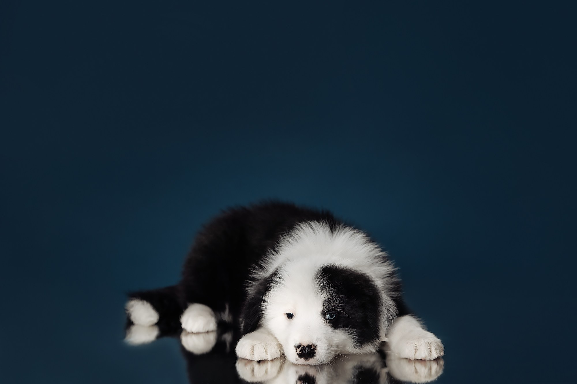 Синева. О нас