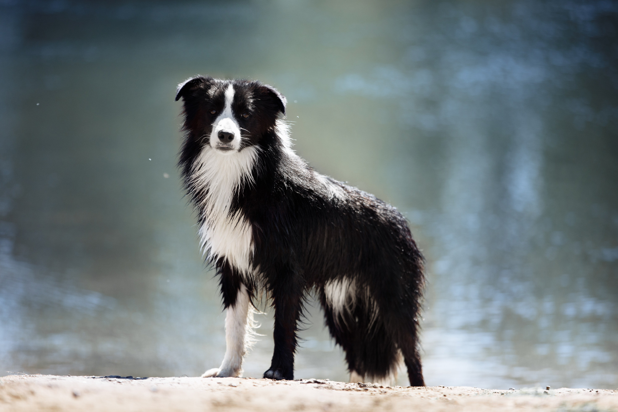 Водяные в Новотроицке. О нас