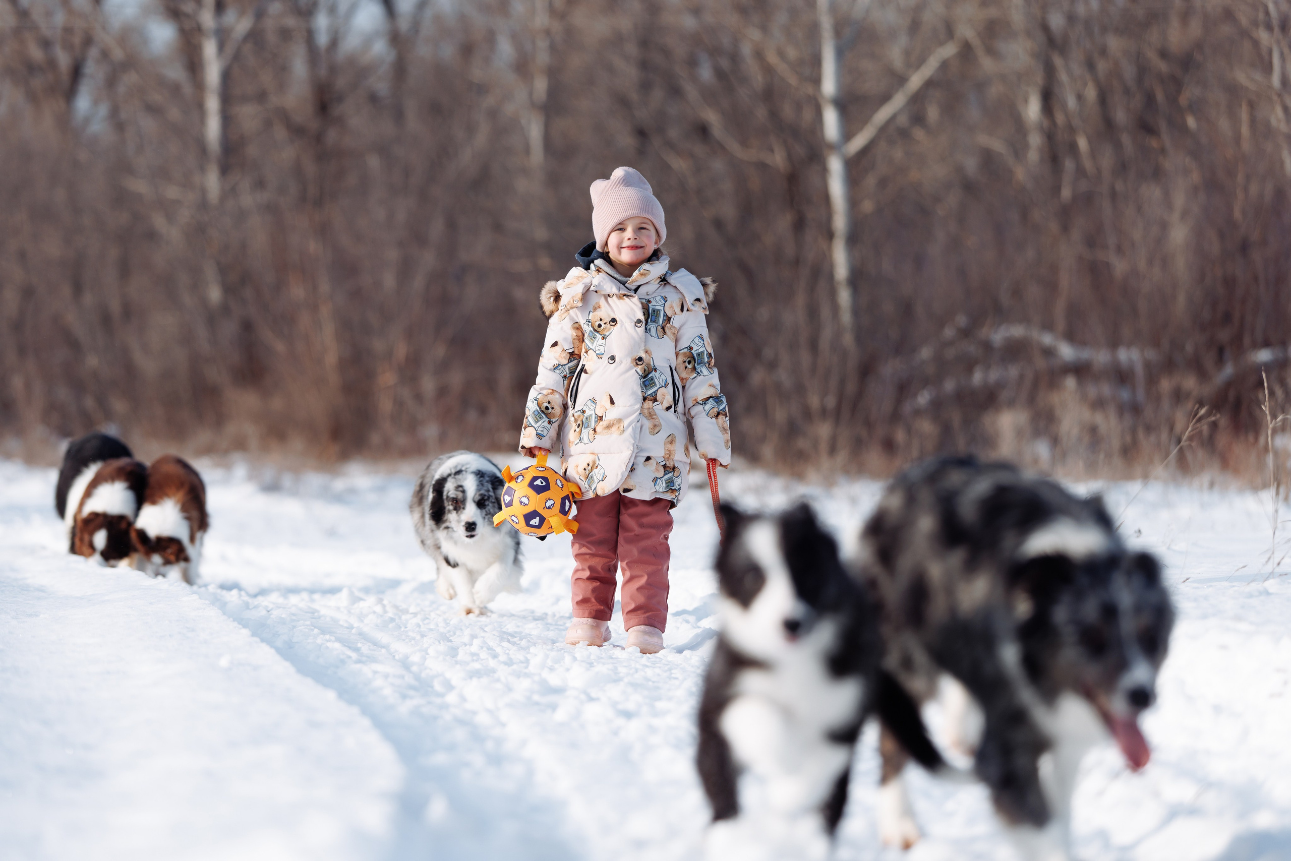 Яркий январь. О нас