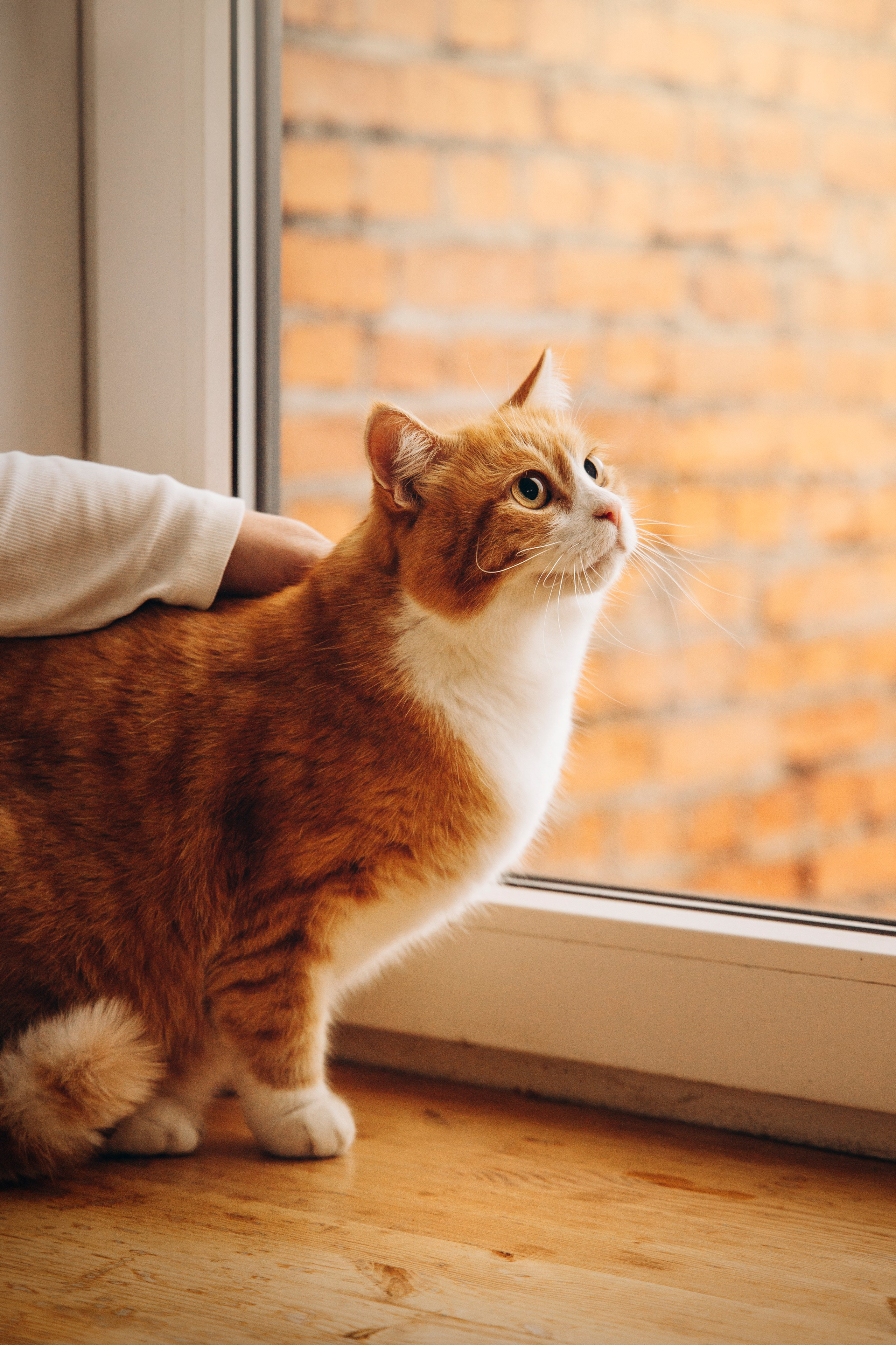 Аня и ее семья. Фотограф — Анималист | Санкт-Петербург