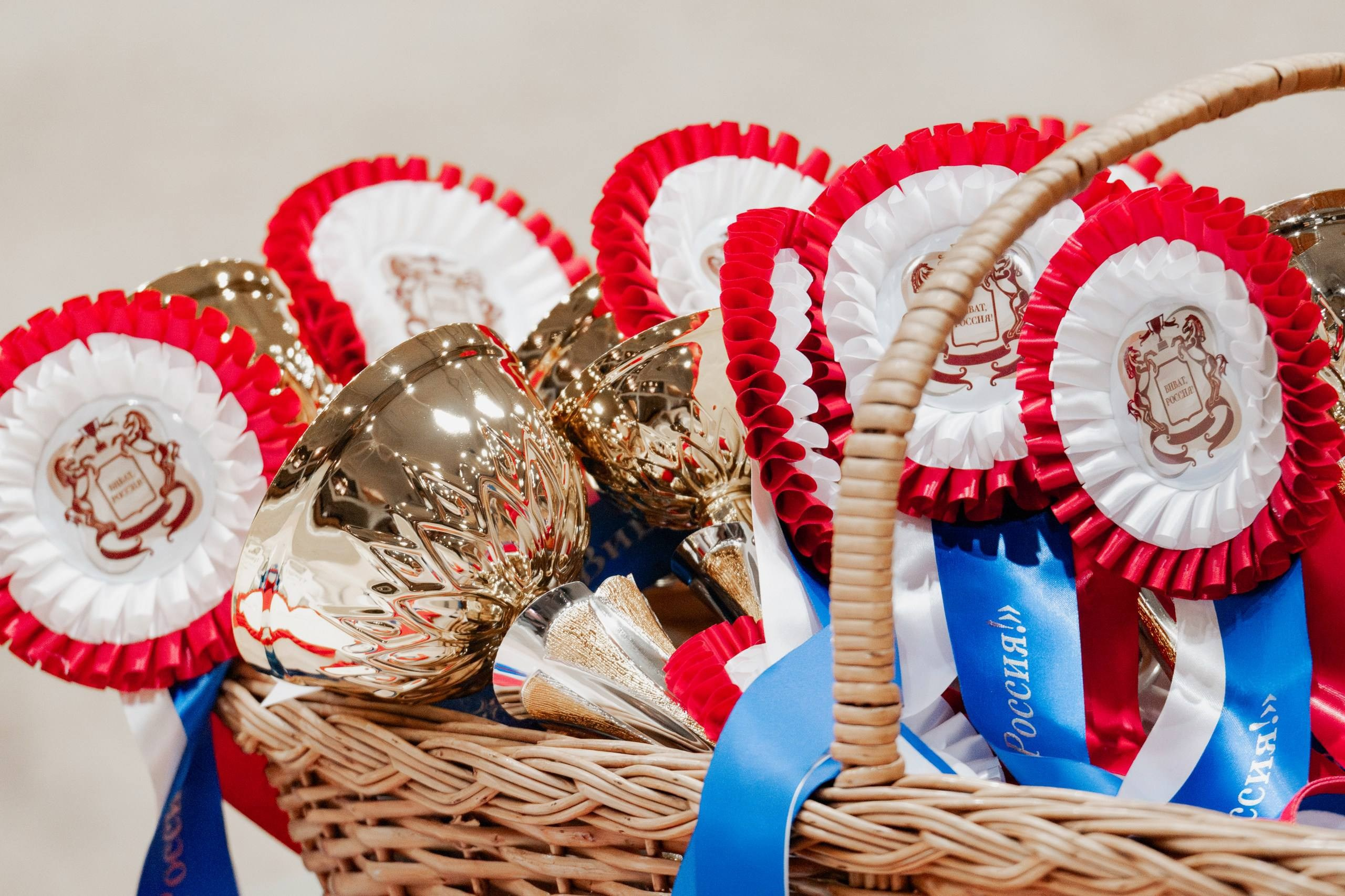 МЕЖДУНАРОДНЫЕ СОРЕВНОВАНИЯ по ВЫЕЗДКЕ КСК «Виват, Россия!». Куракина Дарья • Конный фотограф