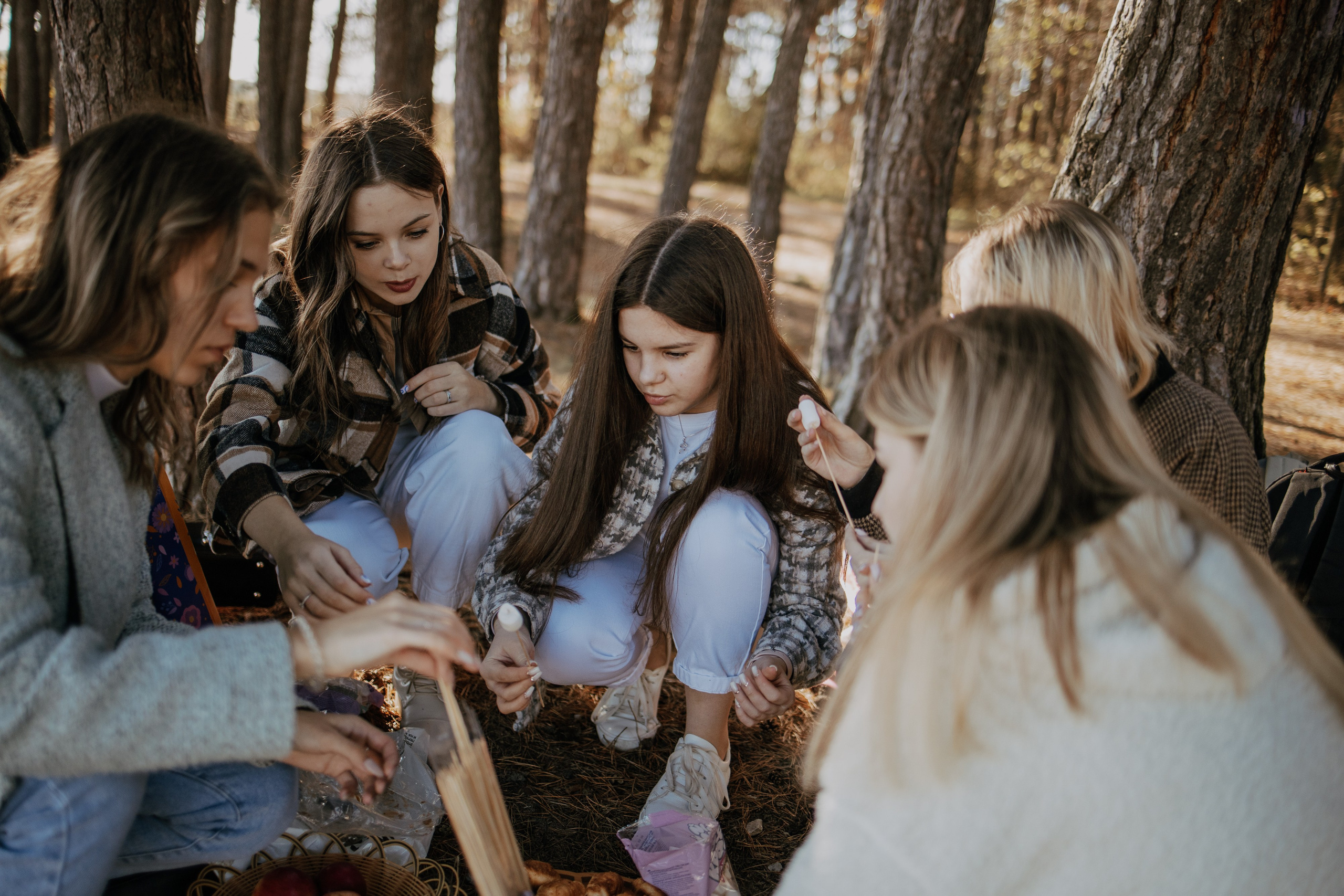 Фотосессия пикника для 11 класса. Выпускные альбомы в Серпухове