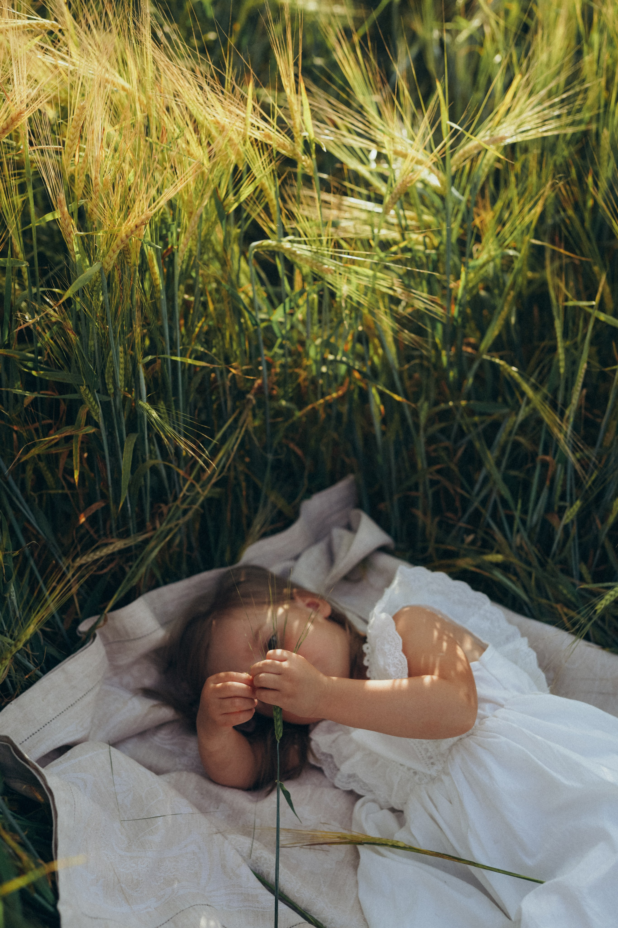 Пшеничное поле. Семейный и женский фотограф в Санкт-Петербурге Татьяна Стружкина