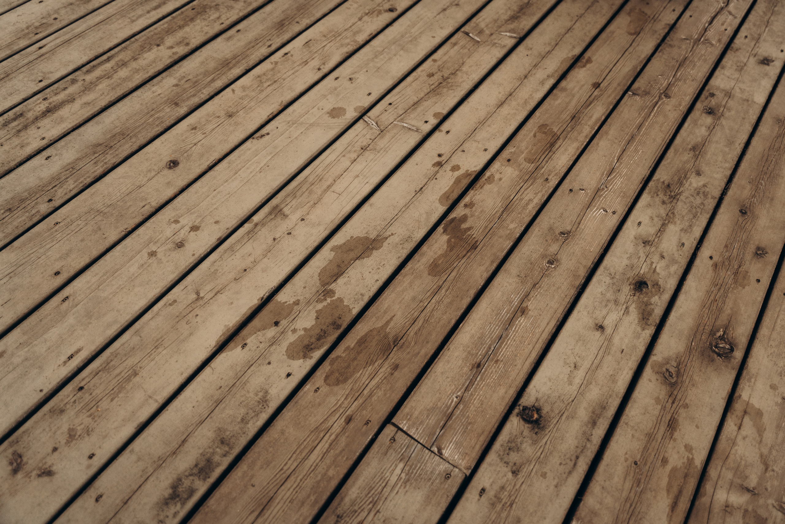 Лорена и Николь. Фотограф Мария Миллс | Минск