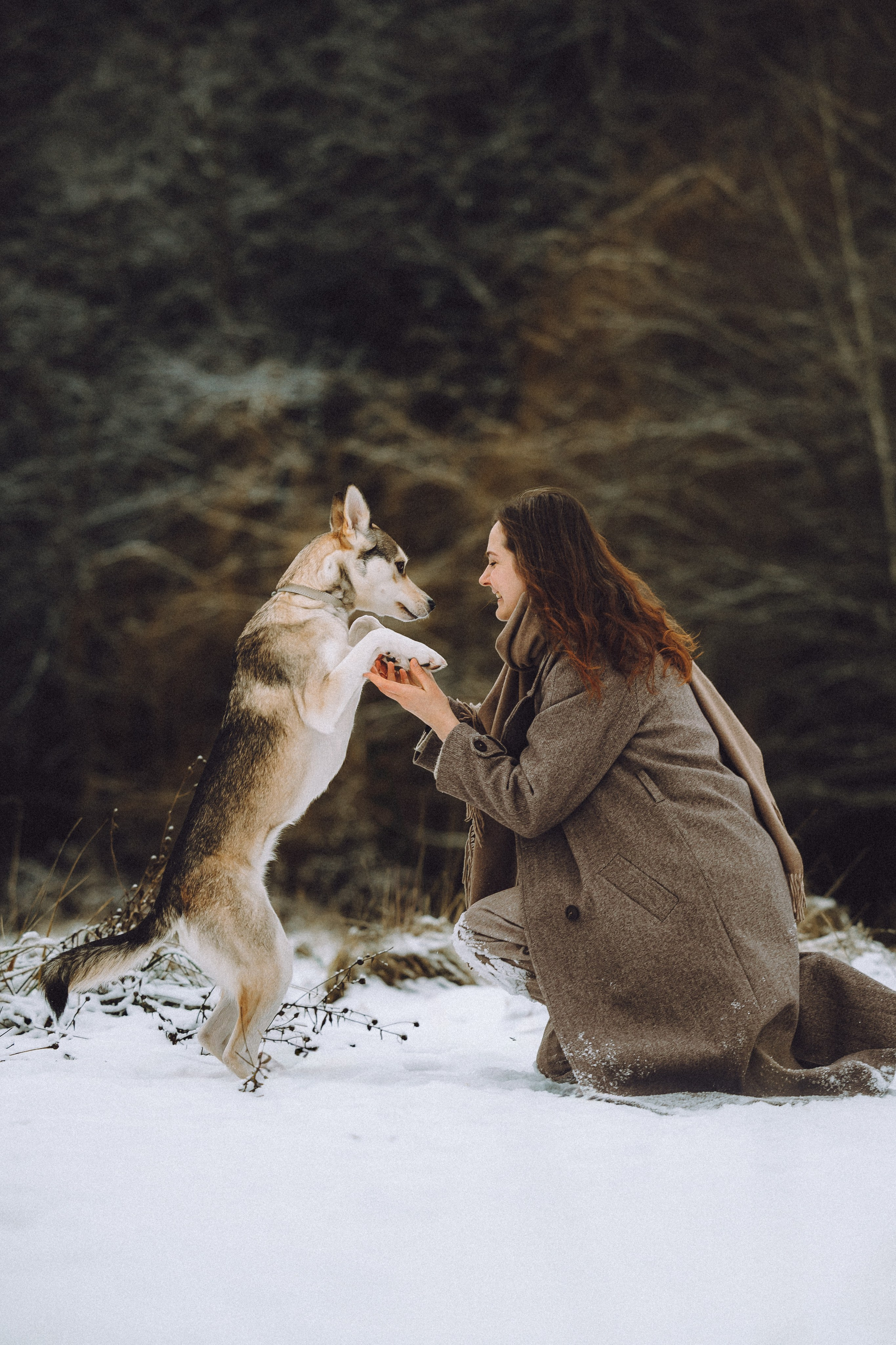 Аня и Рокси