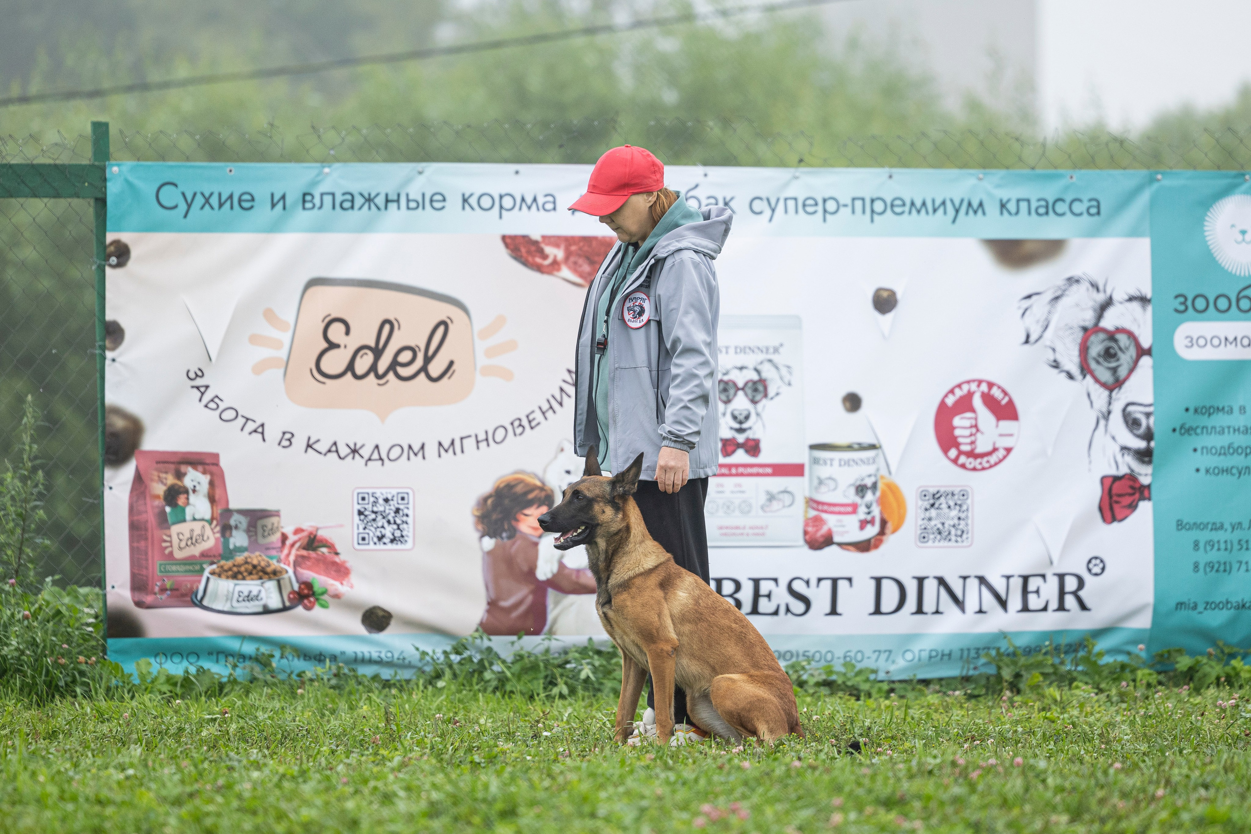 Соревнования по Мондьорингу г. Вологда 10-11.08.2024. Фотограф-анималист Анна Маринич