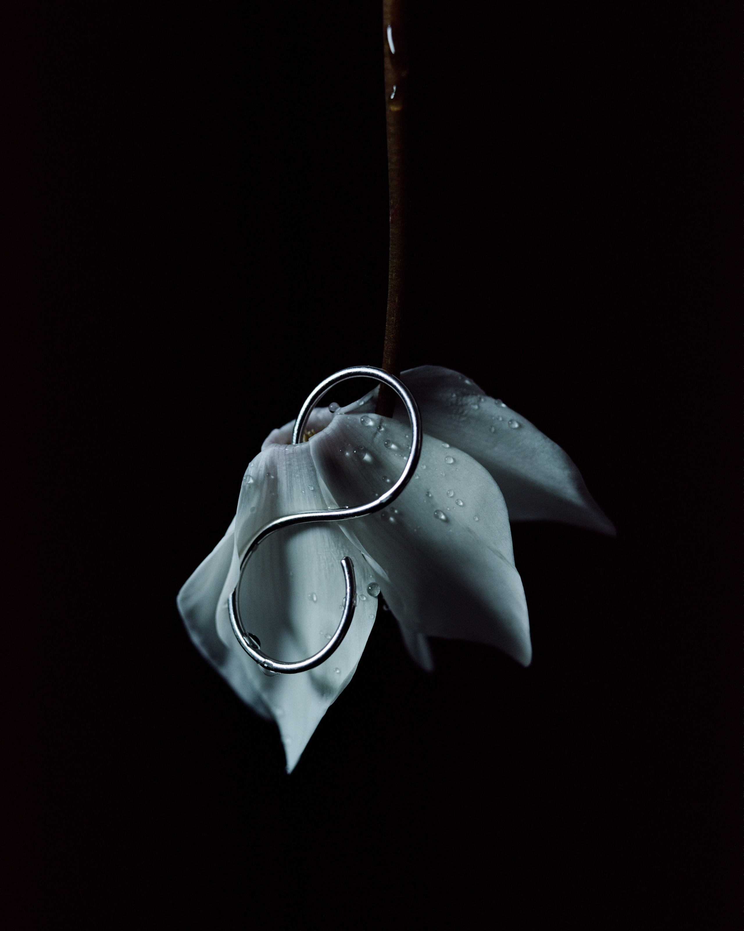 Sumei. Фотограф из Москвы