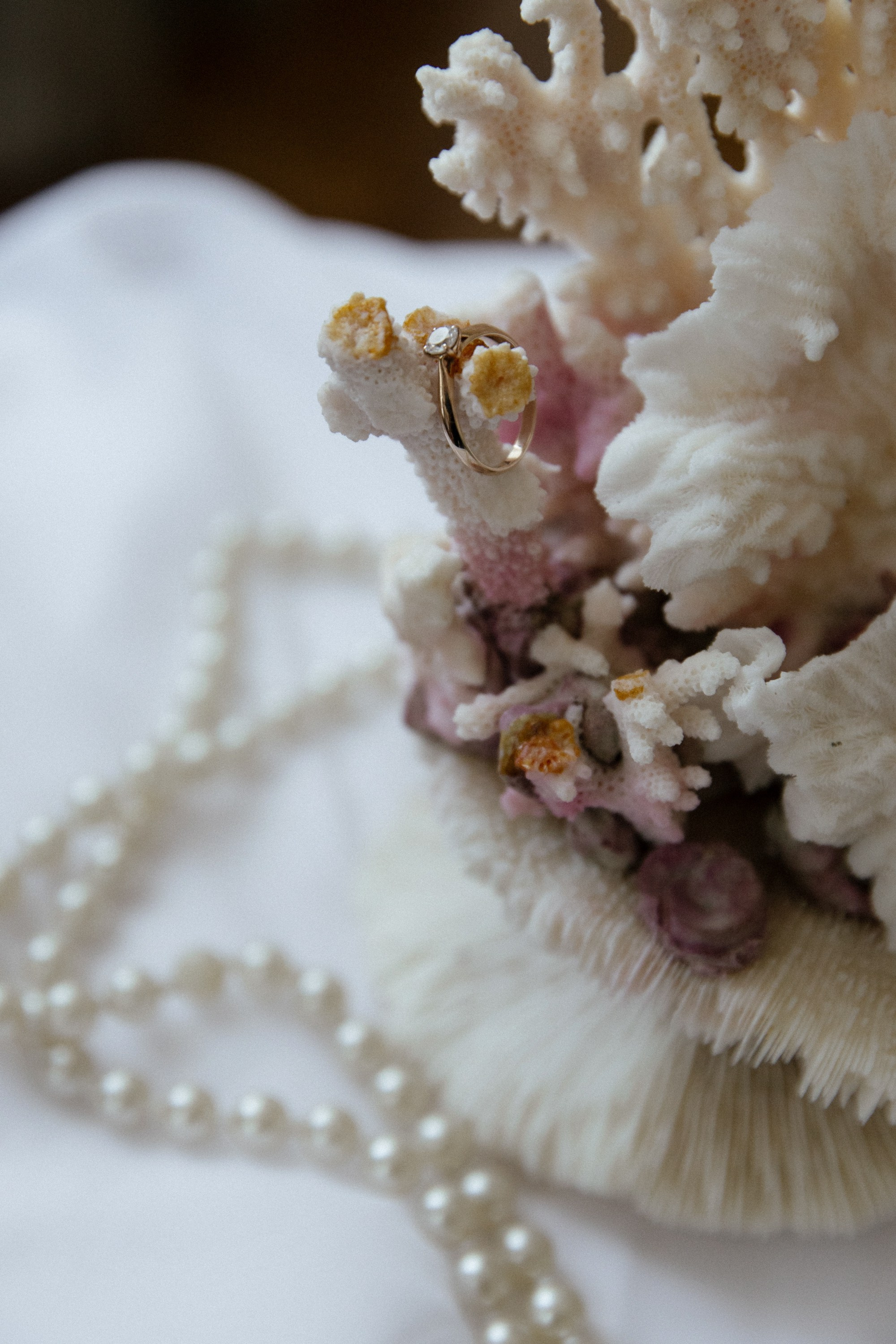 Артем, Алина и Питер. Фотограф Сергиев Посад Москва Хованская Екатерина