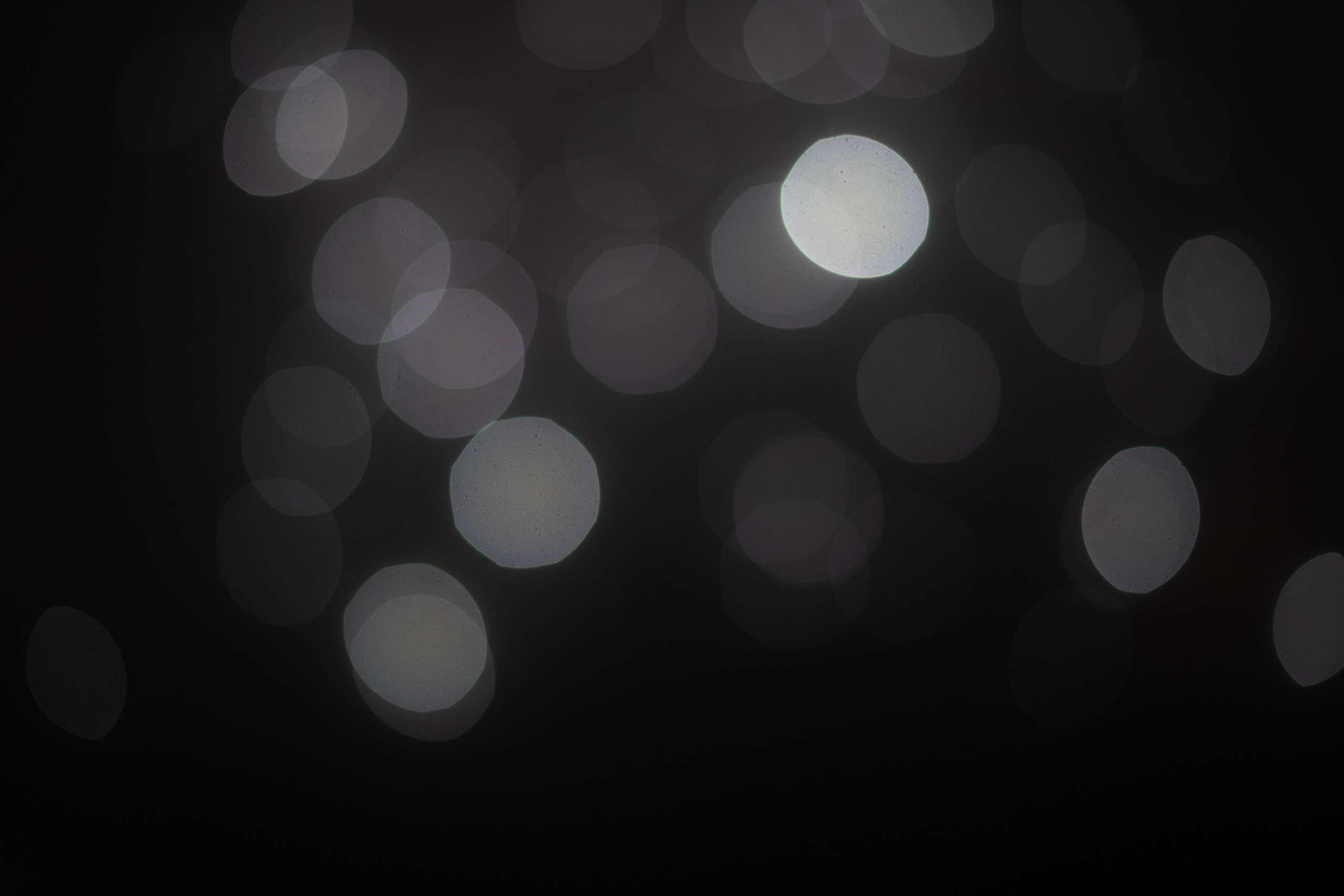 Автопортрет. Летний Дворец в Петергофе. Ваш фотограф — Александра Андрущенко