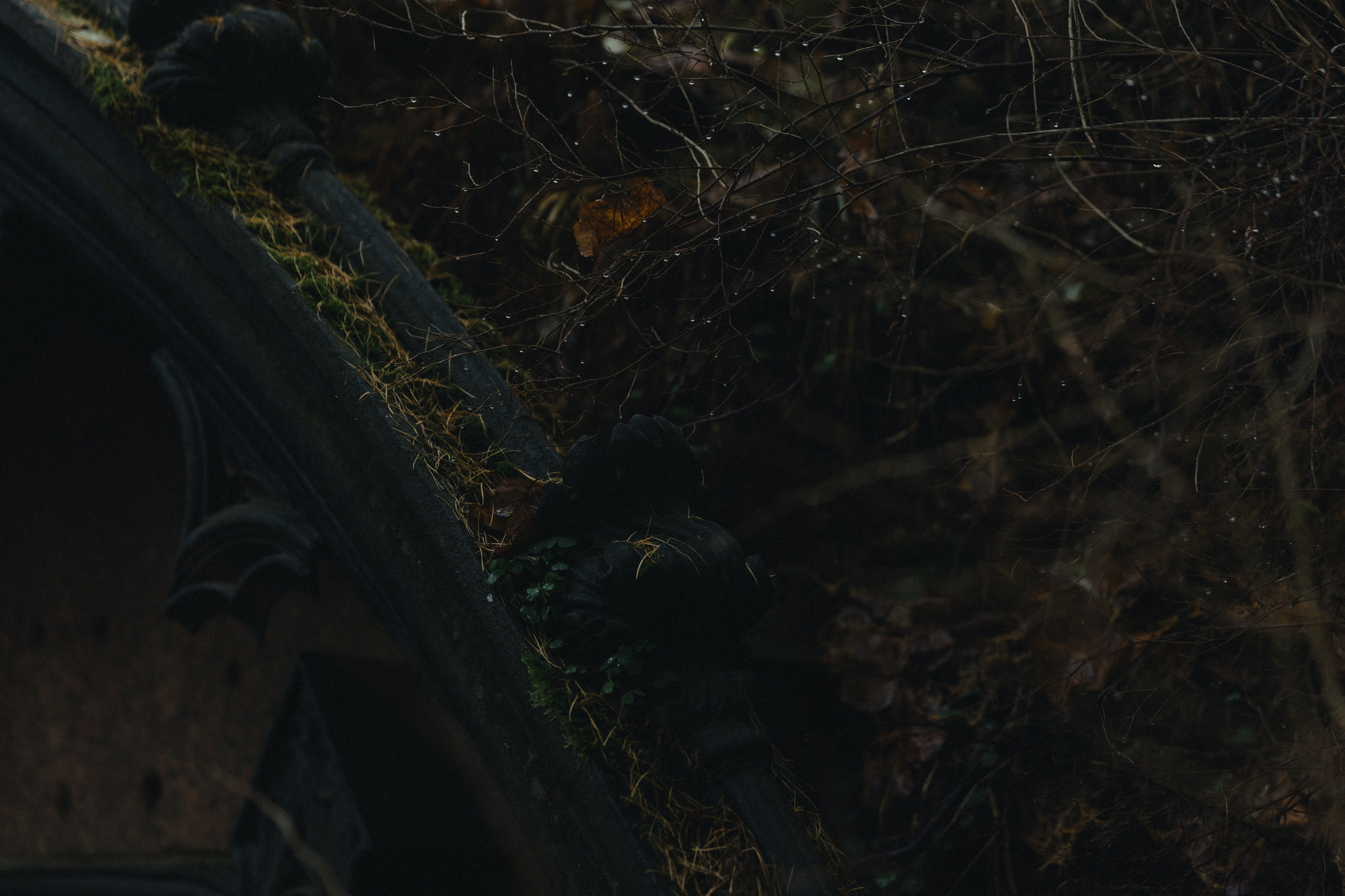 Творческие проекты. Свадебный и репортажный фотограф в Санкт-Петербурге