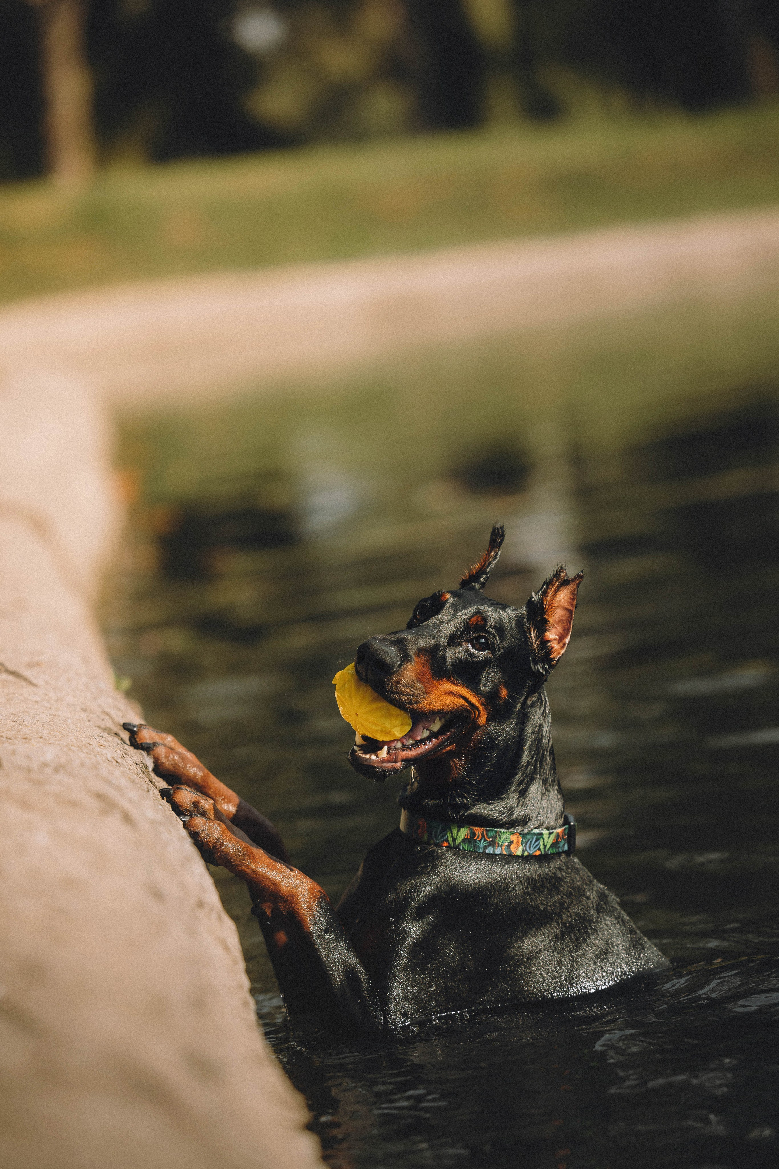 Паша и Хайди