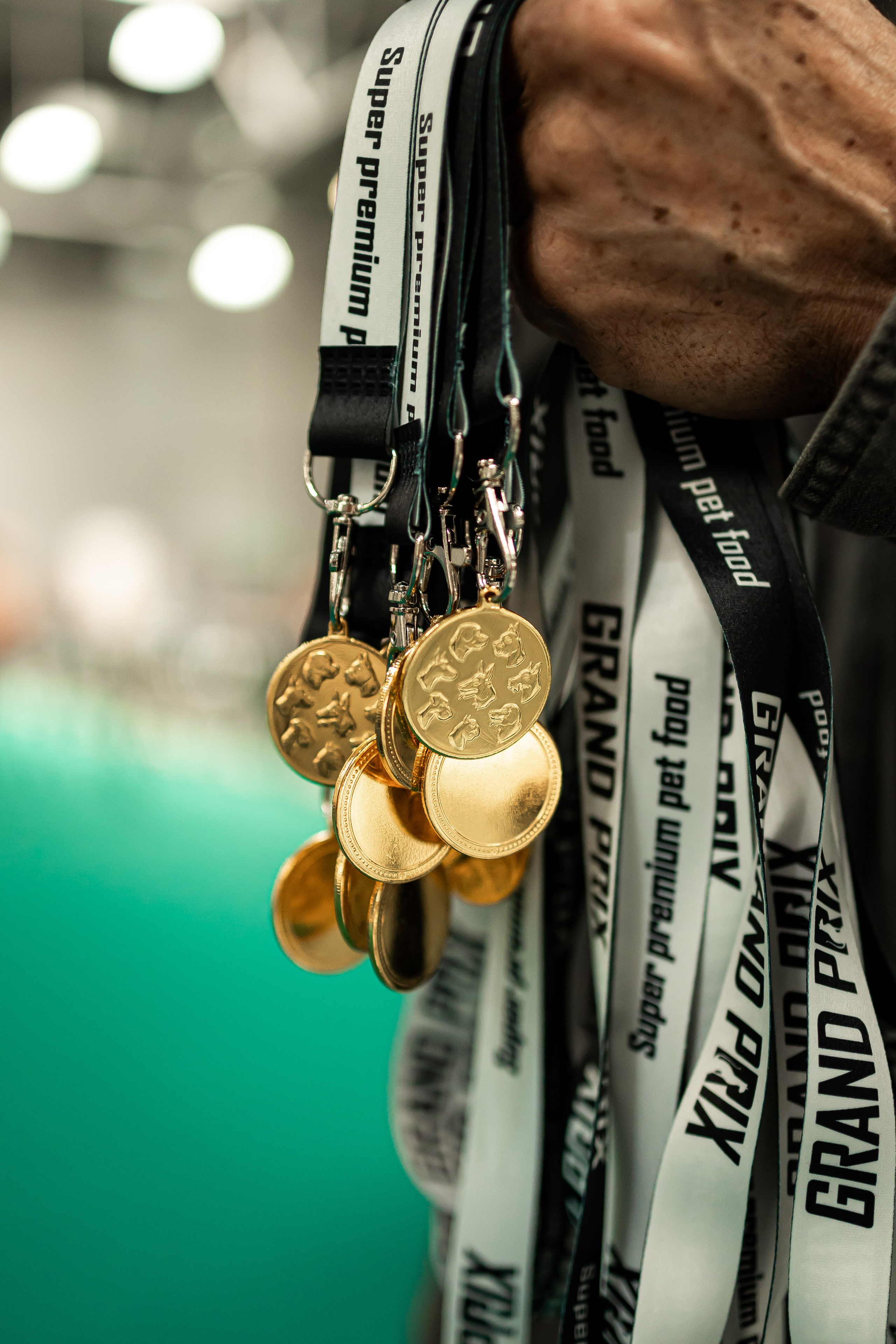 Выставка сеттеров 19.05.24