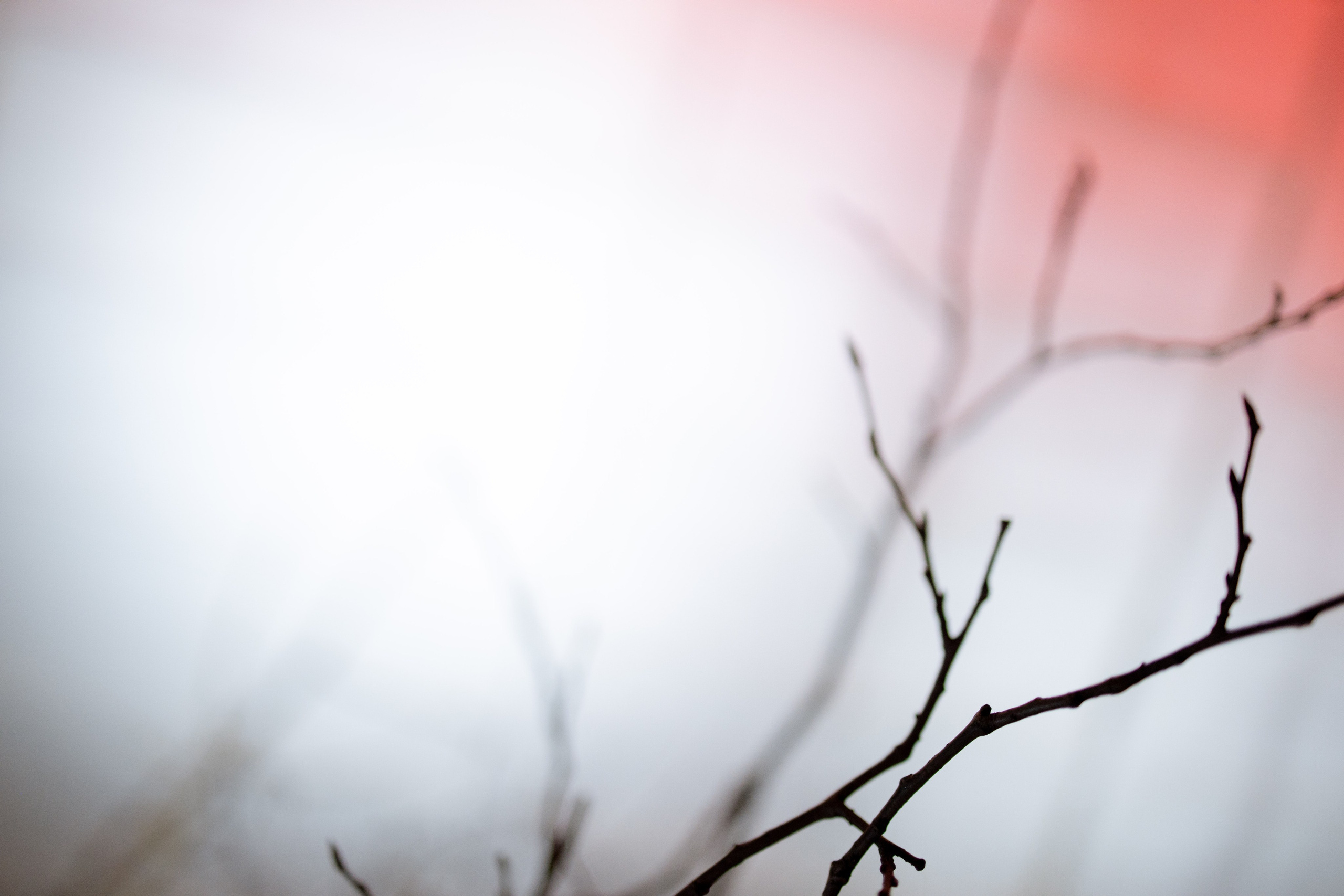 Новогодний корпоратив в фольклорном стиле. Особняк Лемана. Оформление свадеб, декор свадеб Вера Маркова, Москва