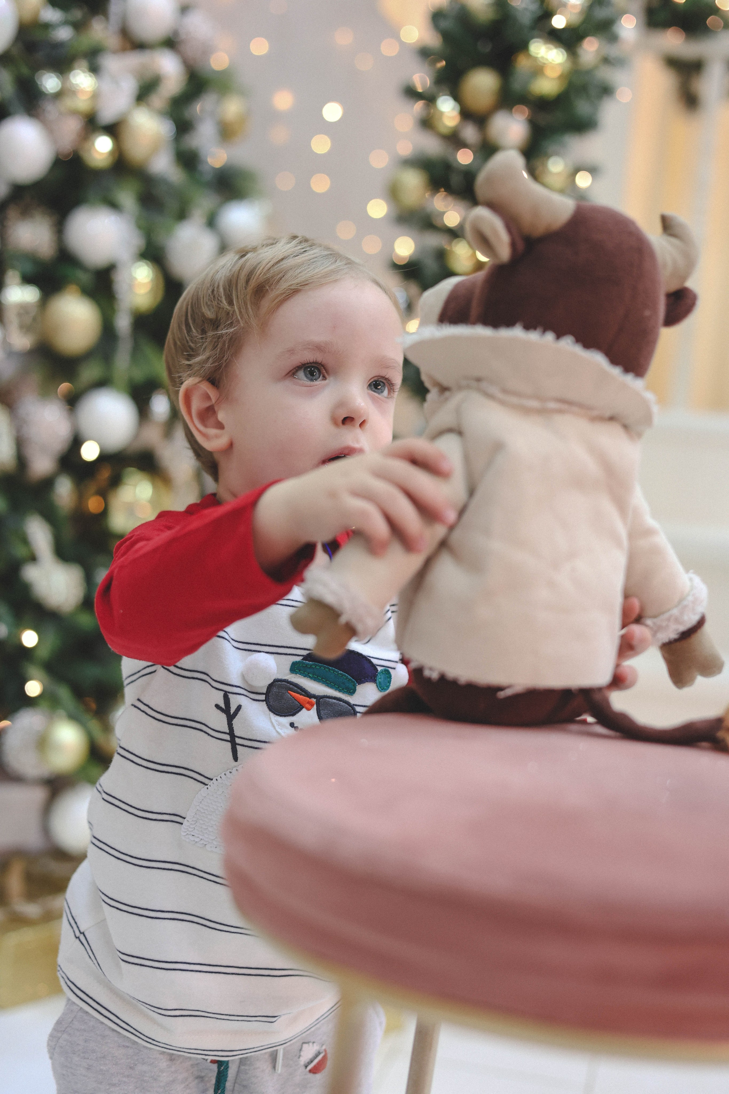 Новогодняя история «Ирина и ее семья». Фотограф в Москве Анастасия Калинина