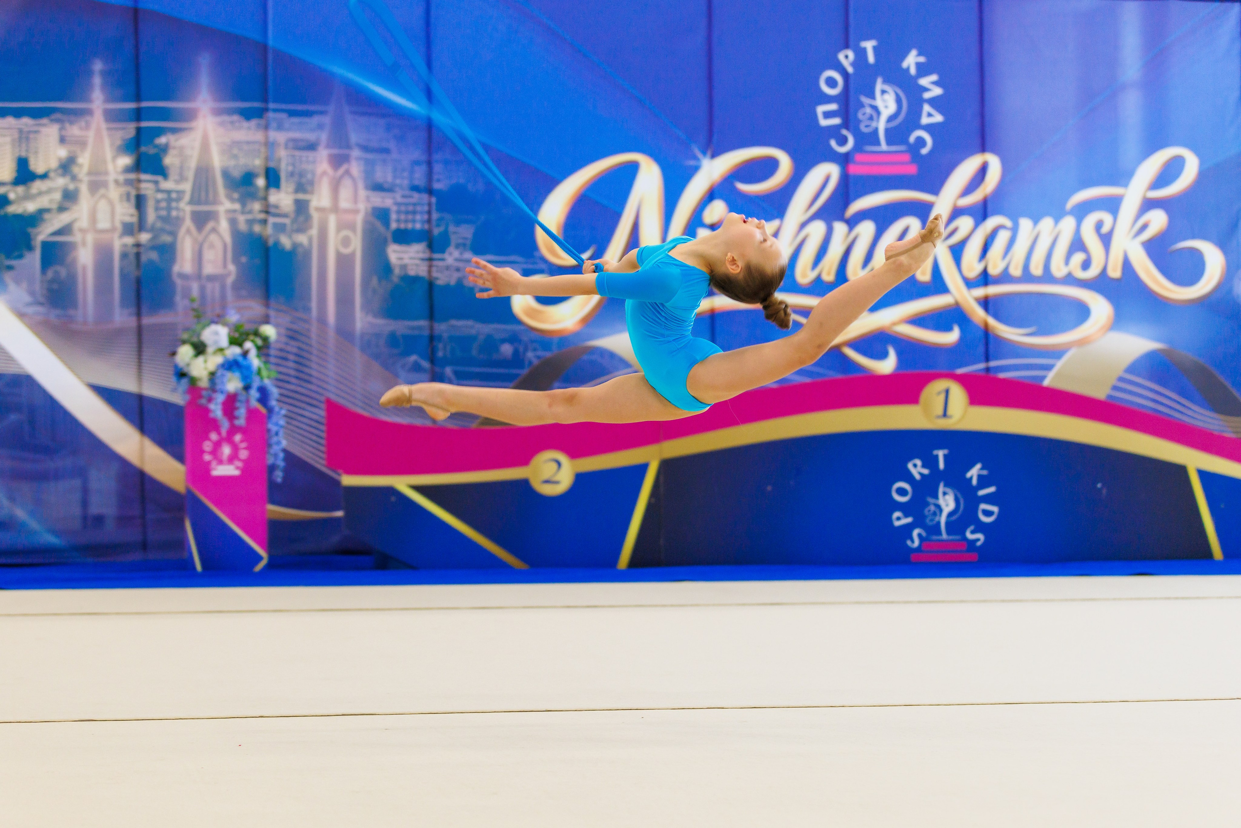 Художественная гимнастика