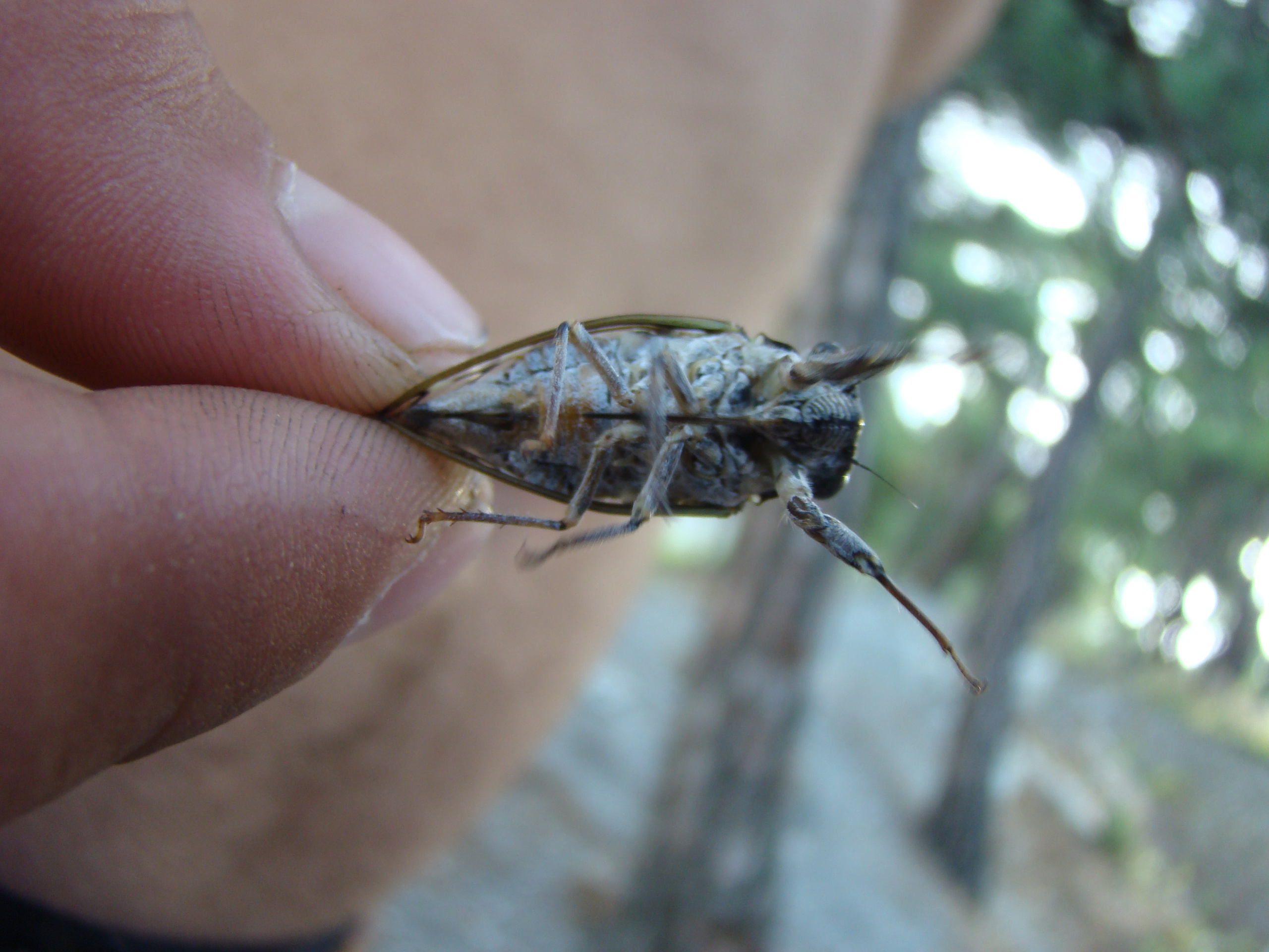 Кабардинка (фото Зевиных) 25.06-24.07.2008. Семейный, Свадебный фотограф СПБ Питер— Романова Екатерина