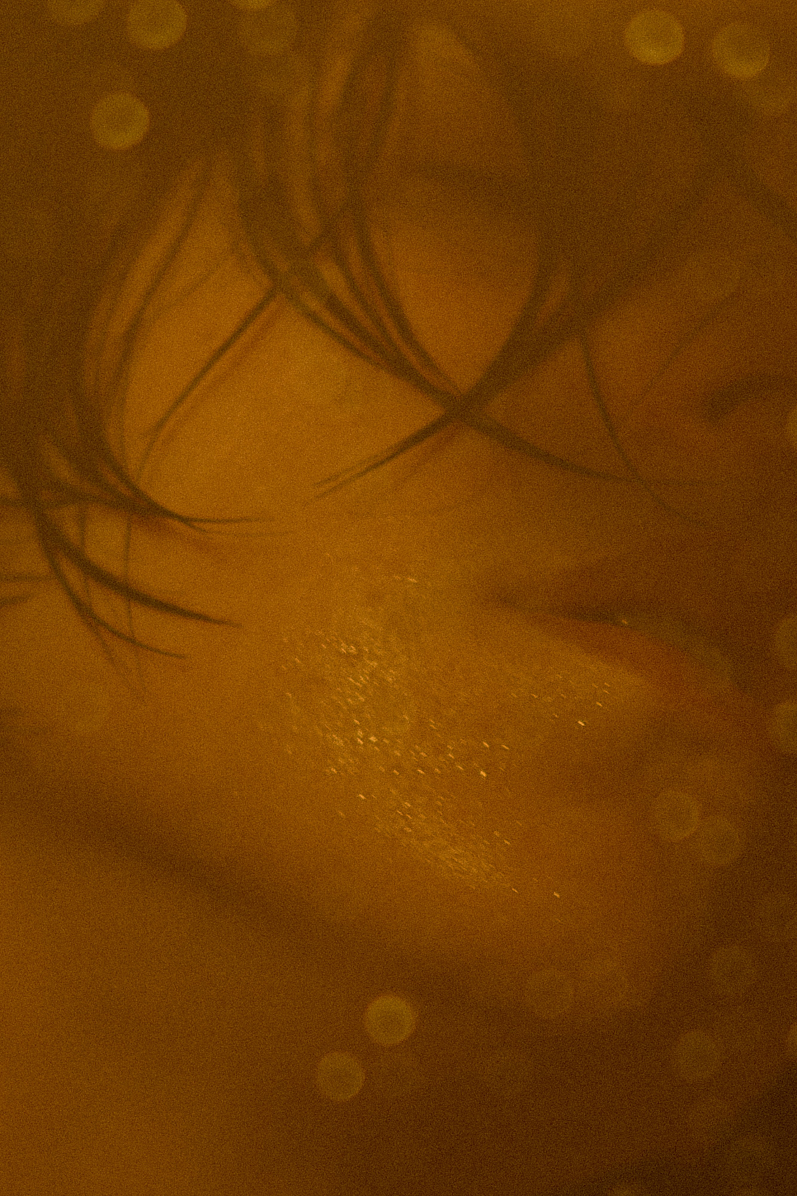 S H A P E. Свадебный фотограф Колесников Антон