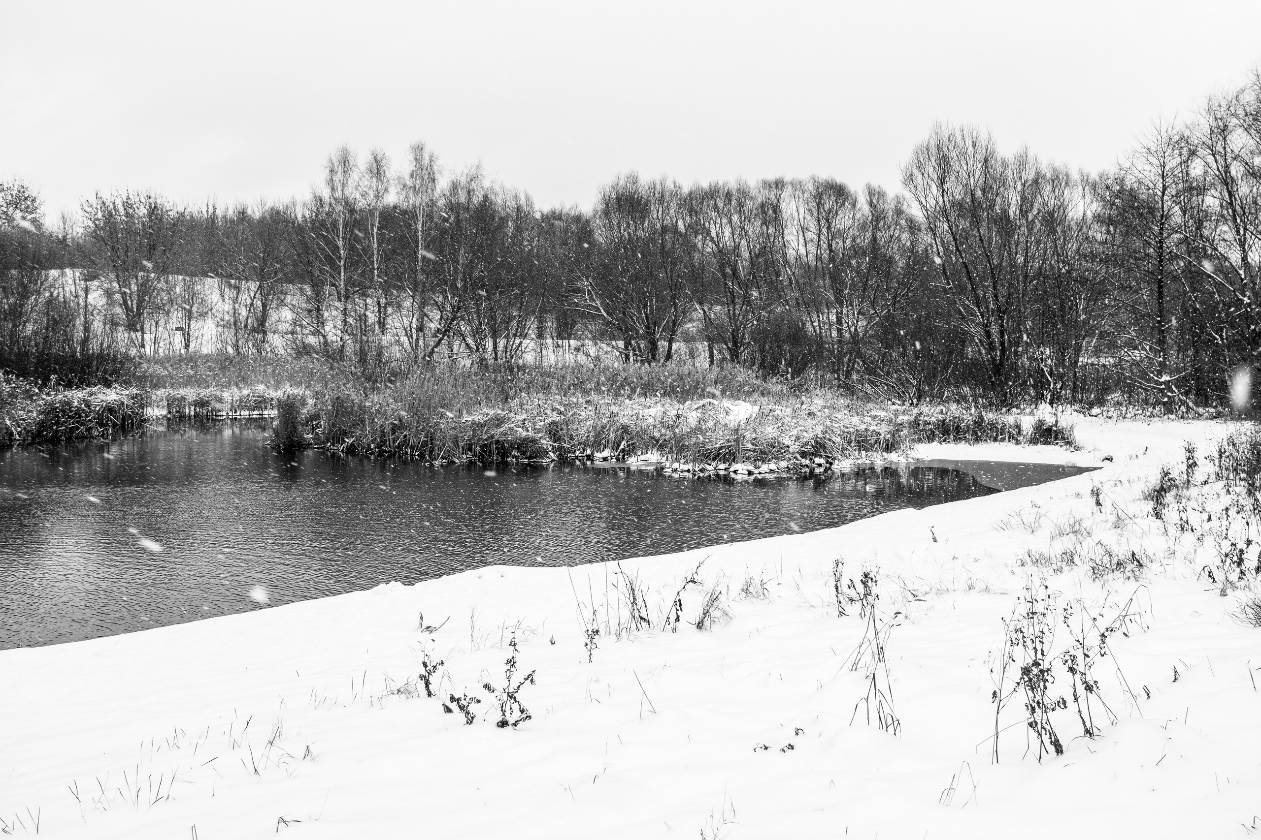Декабрь. Портретный и архитектурный фотограф в Москве и Санкт-Петербурге