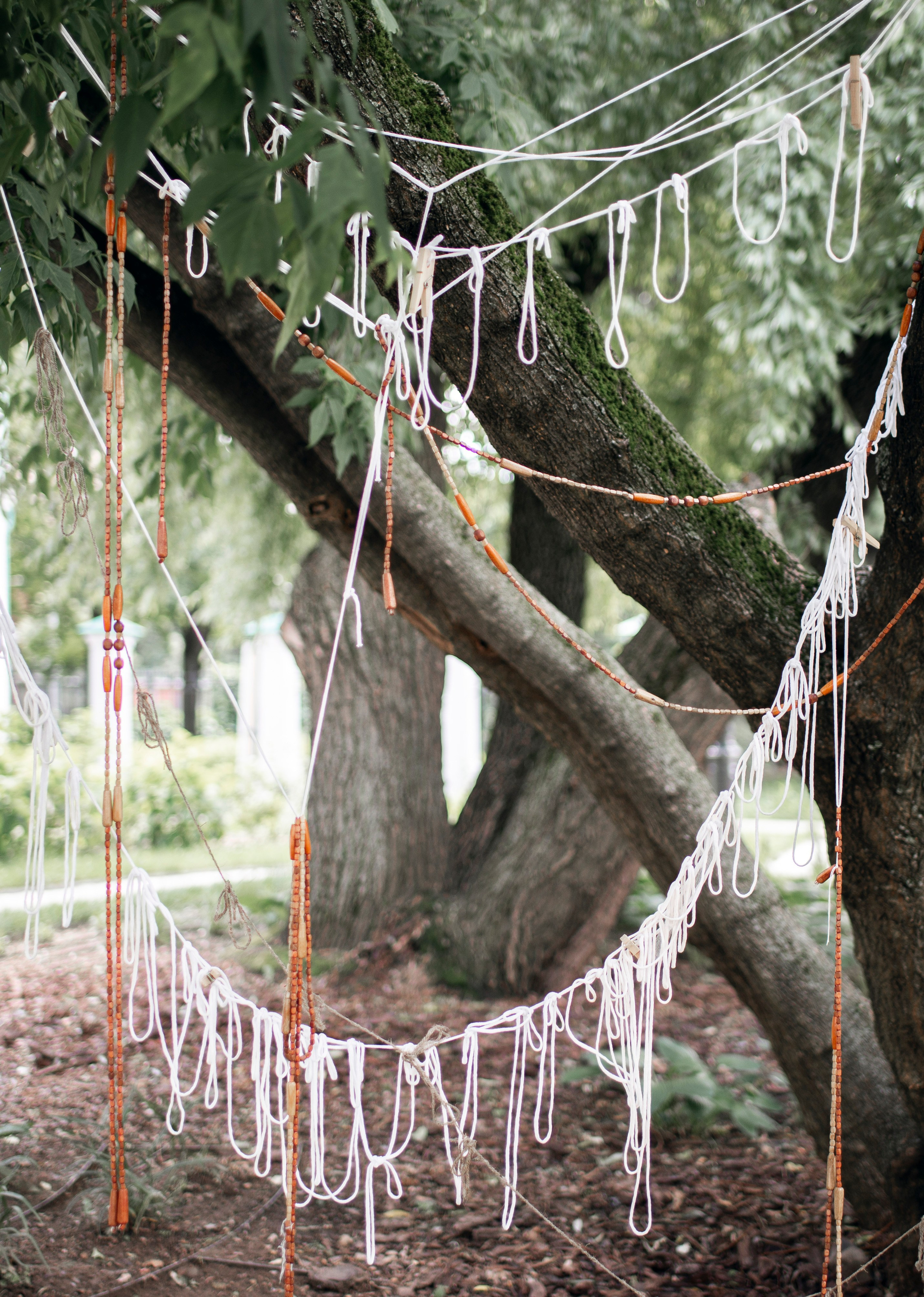 Выставка в доме Третьяковых. Фотограф в Москве Алейникова Евгения