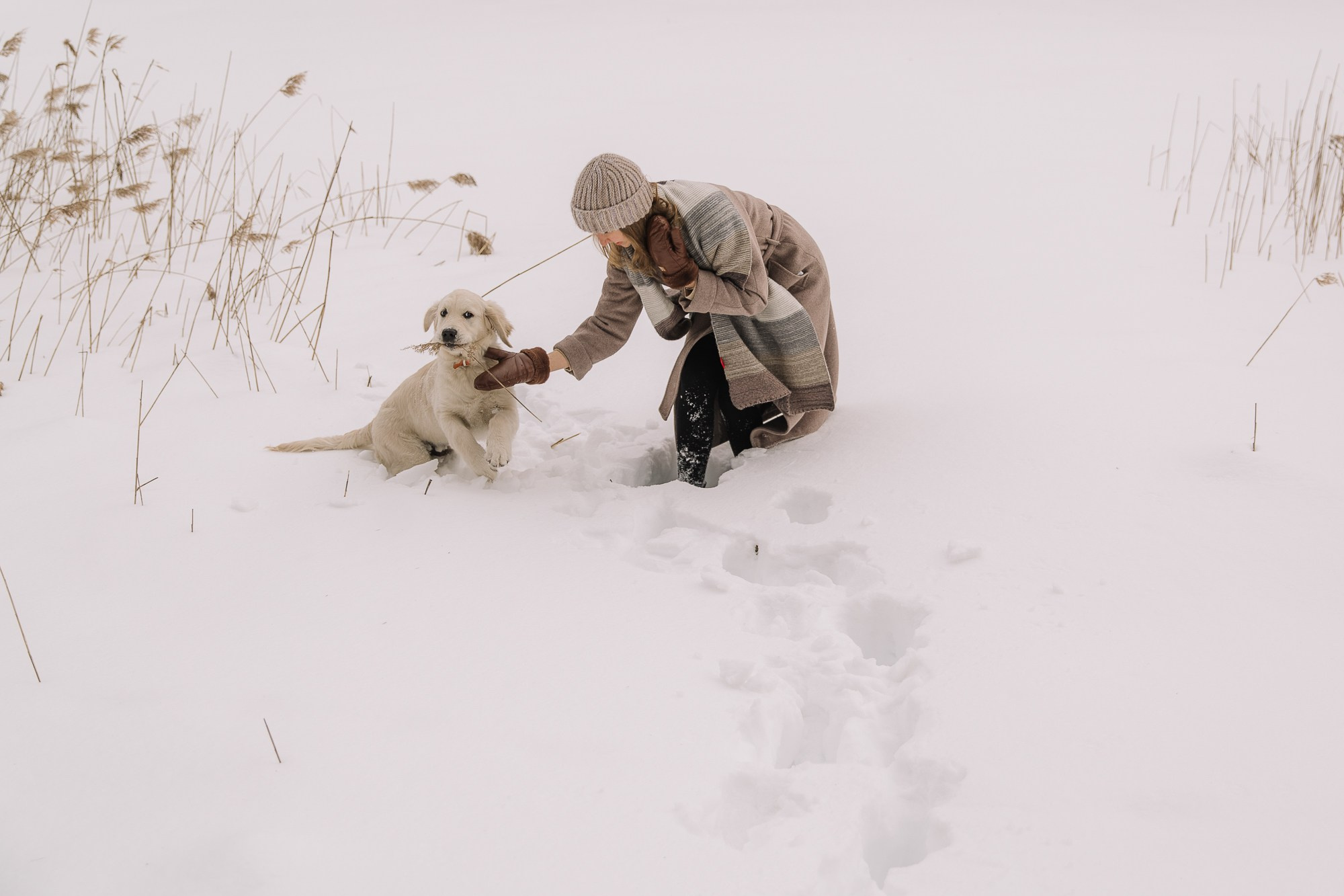 Евгений+Лена. Свадебный, семейный фотограф Брянск, Москва — Виктория Антропова
